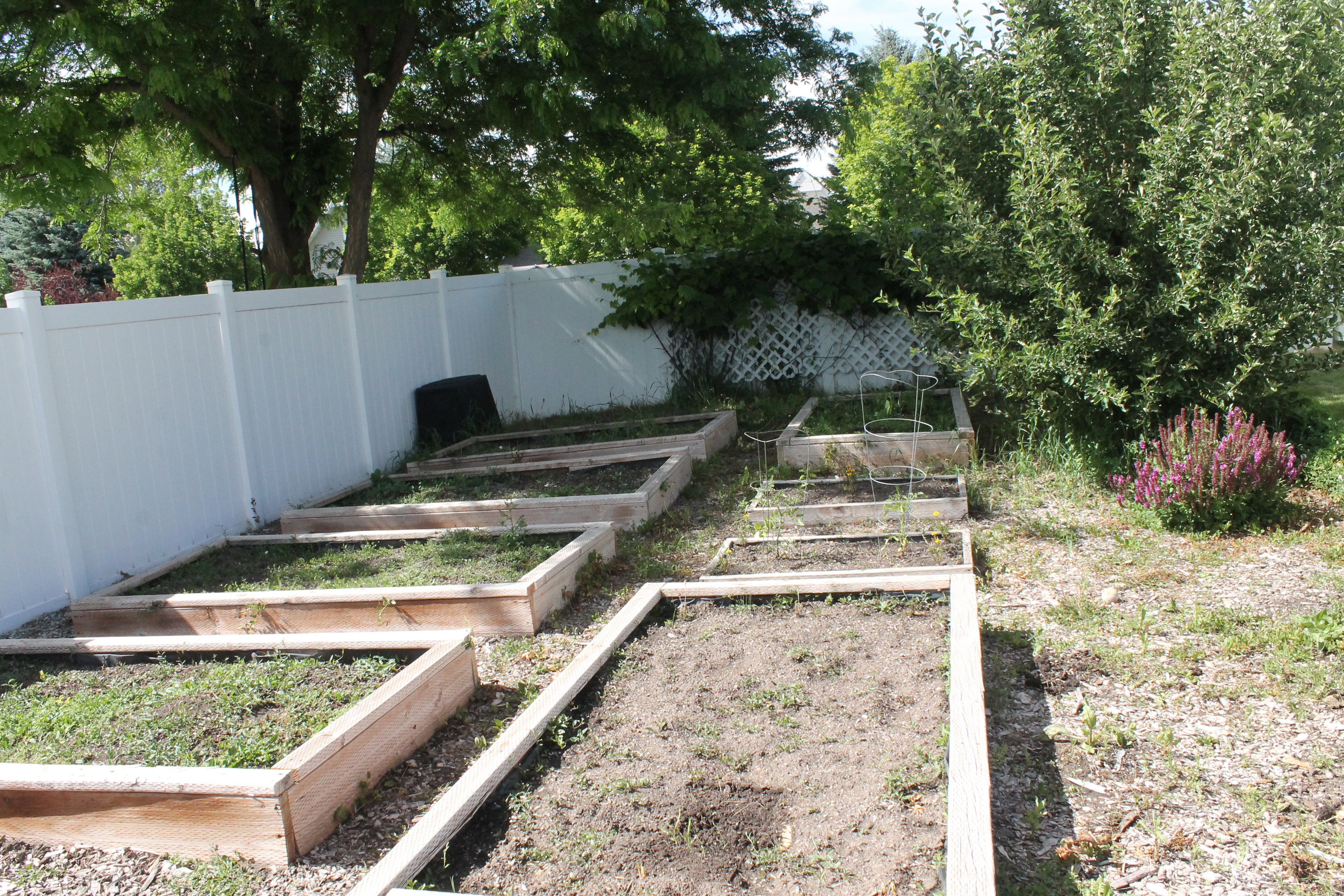 Outdoor garden beds featuring natural wood borders