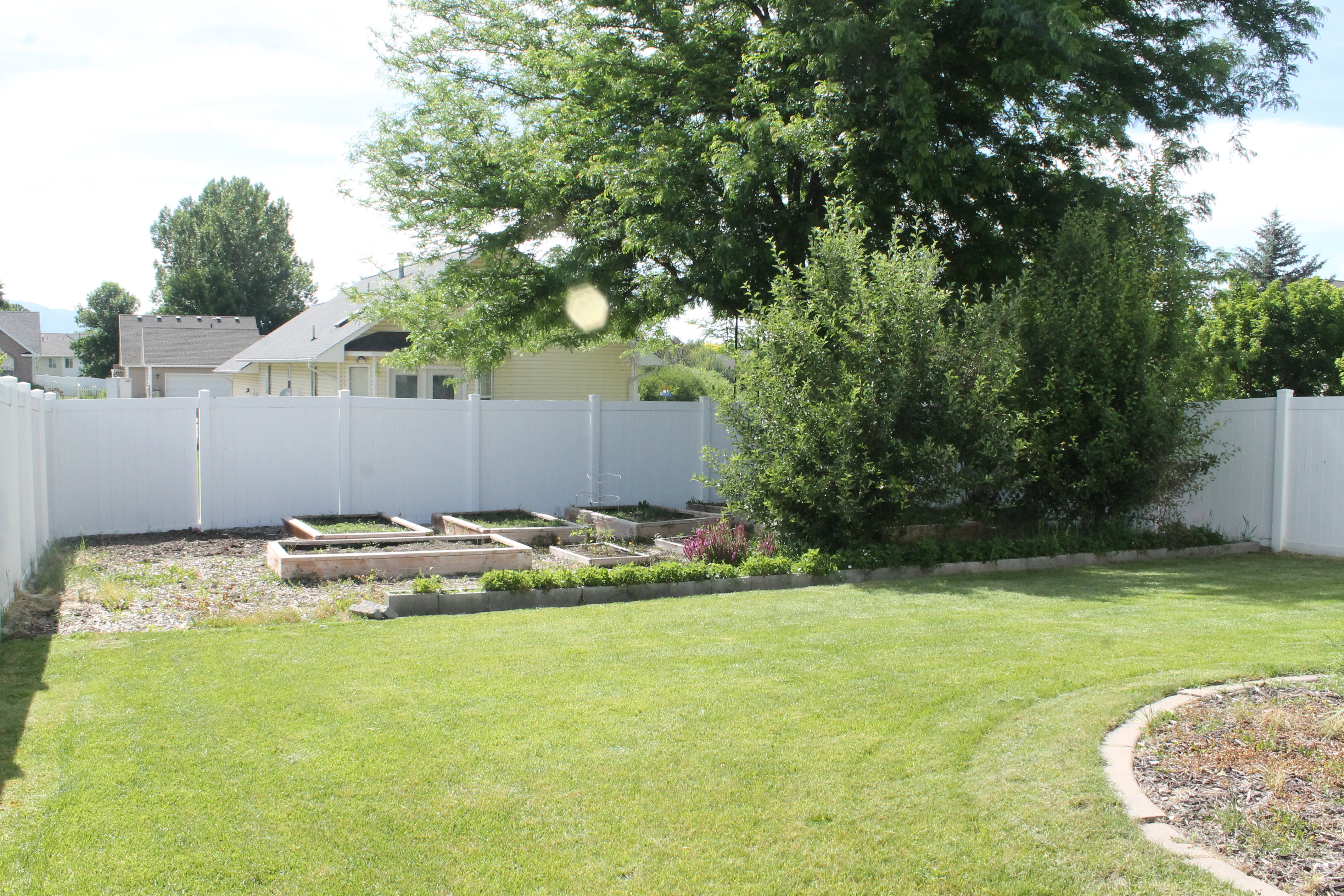 Expansive backyard featuring a lush lawn, a full privacy fence, established garden beds, and mature trees providing natural shade