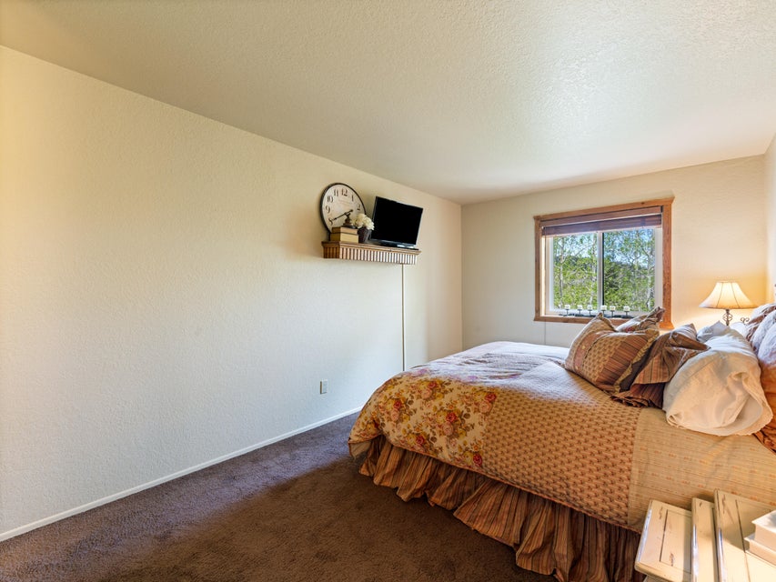 Bedroom with textured light walls, brown carpet flooring, and a window with wood trim