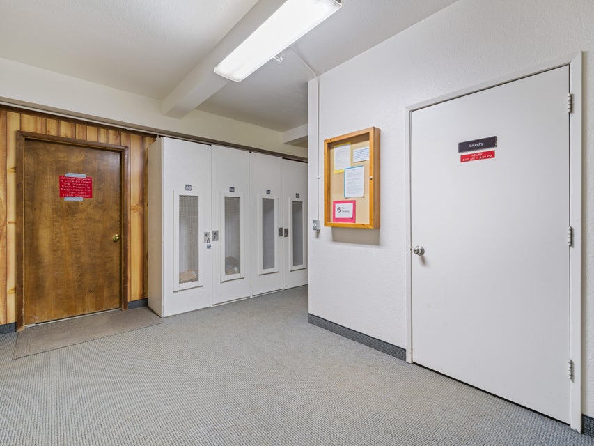 Hallway with light-colored carpet, white walls, and a white door with a silver knob