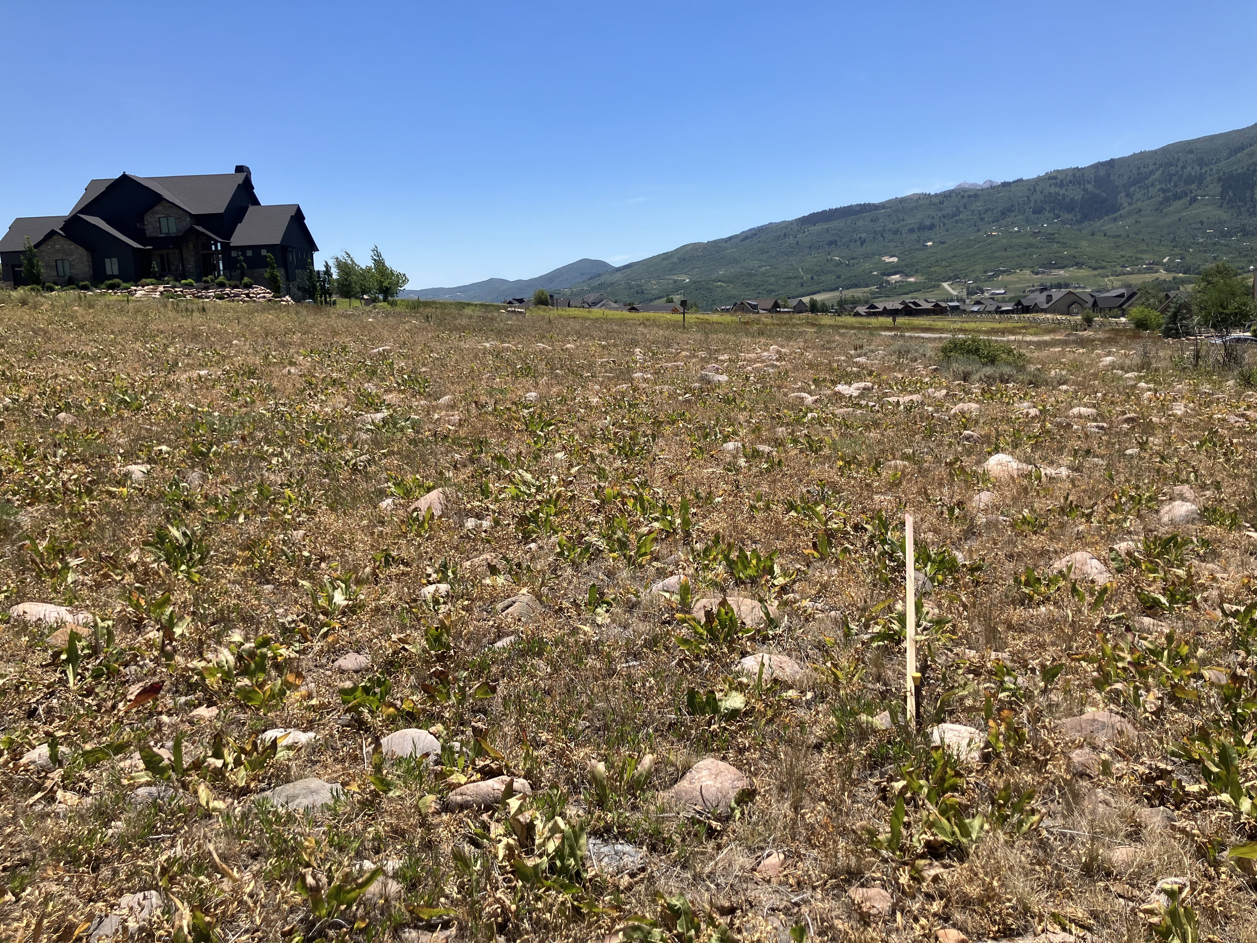 Expansive land parcel with surrounding mountain scenery