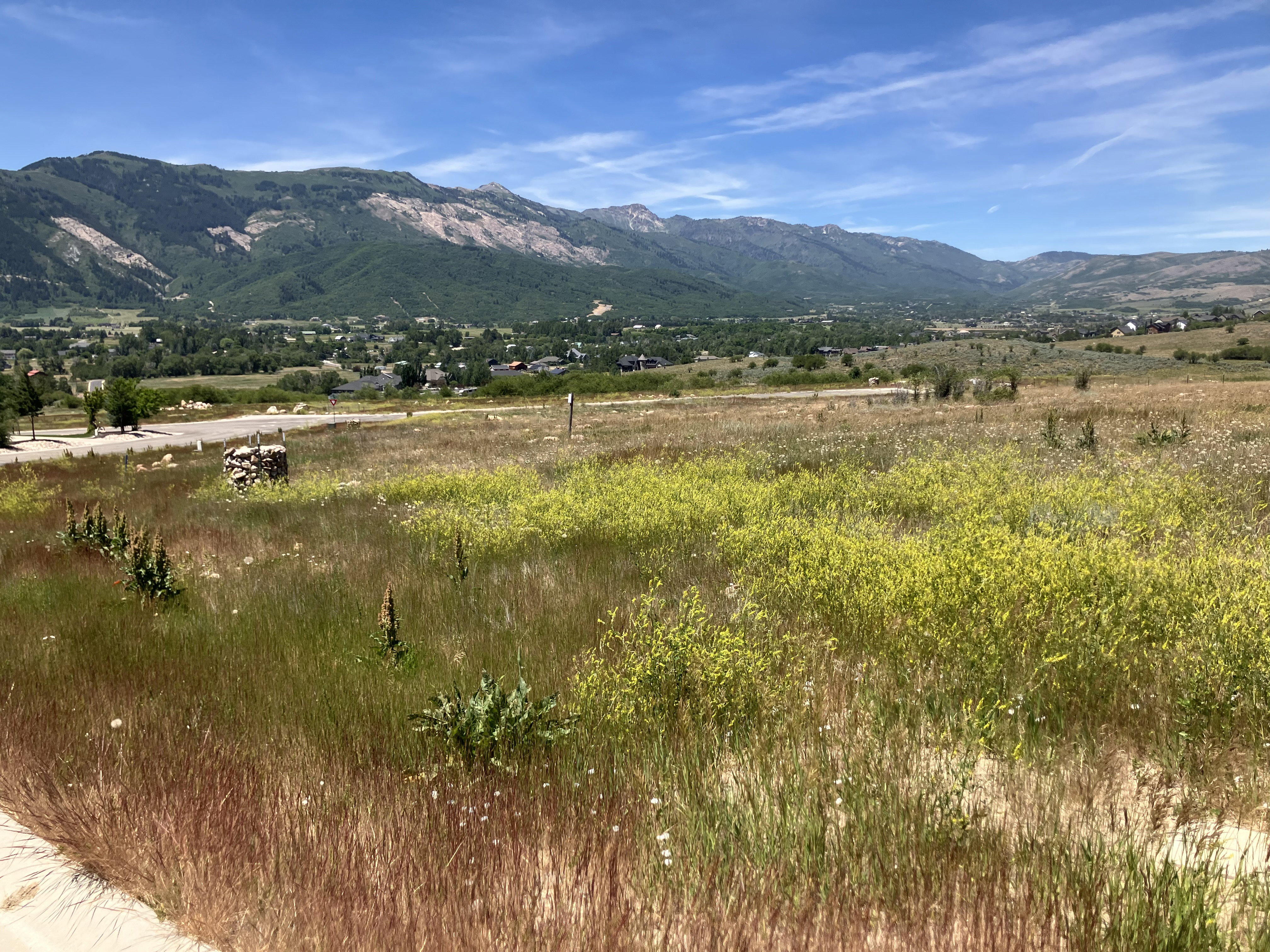 Expansive open land with varied natural groundcover, featuring distant mountain ranges and scattered residential structures