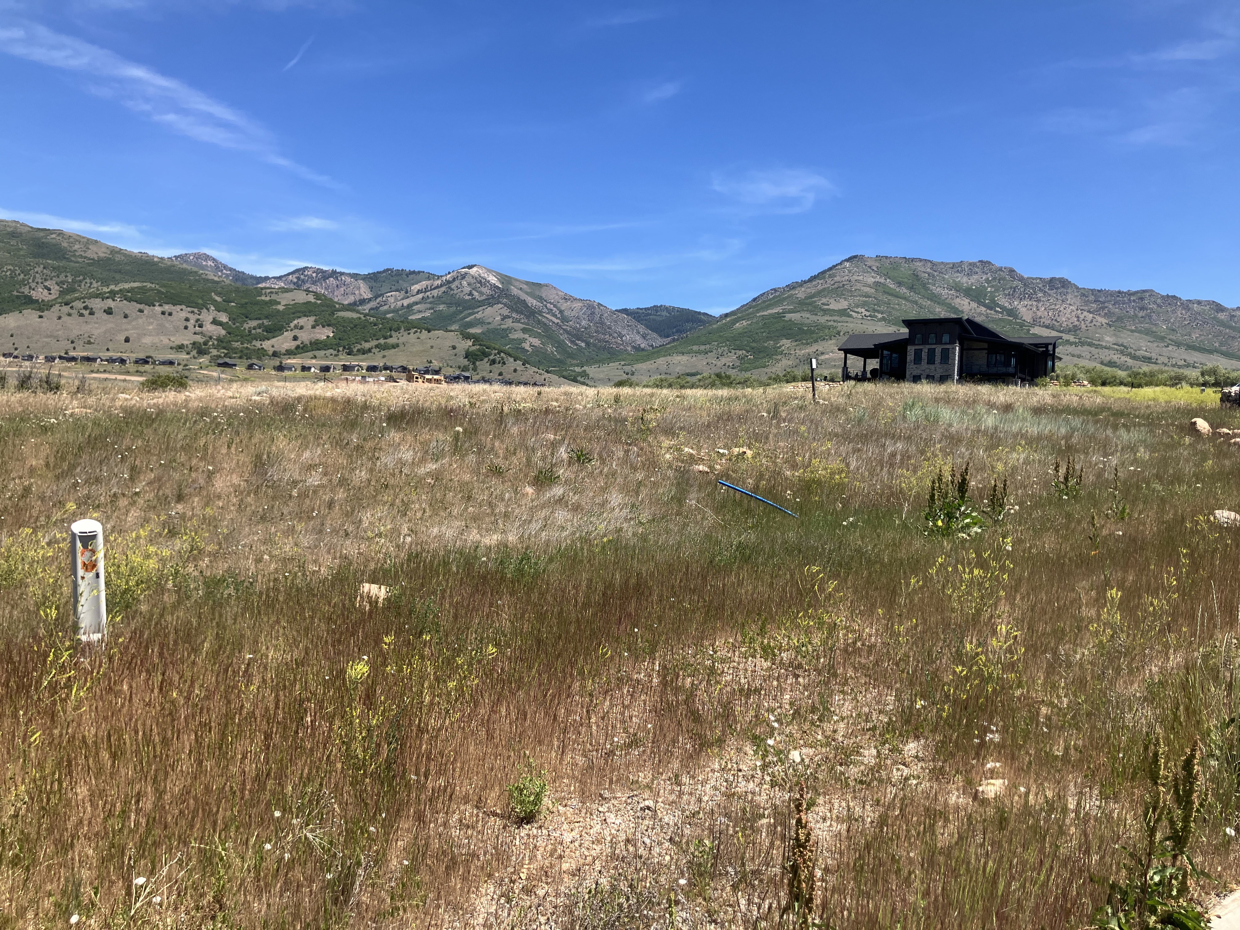 Expansive undeveloped terrain with a distant mountain backdrop