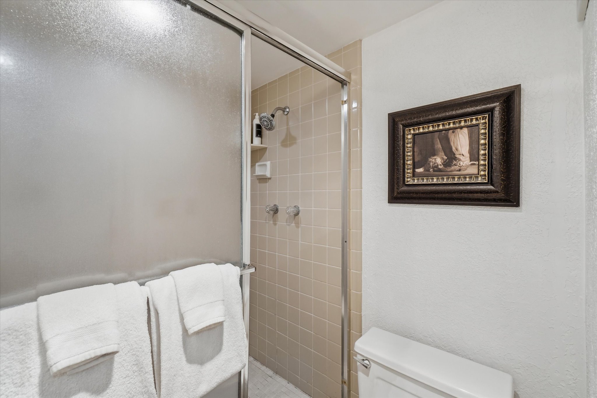 Shower enclosure with frosted glass panel and chrome frame