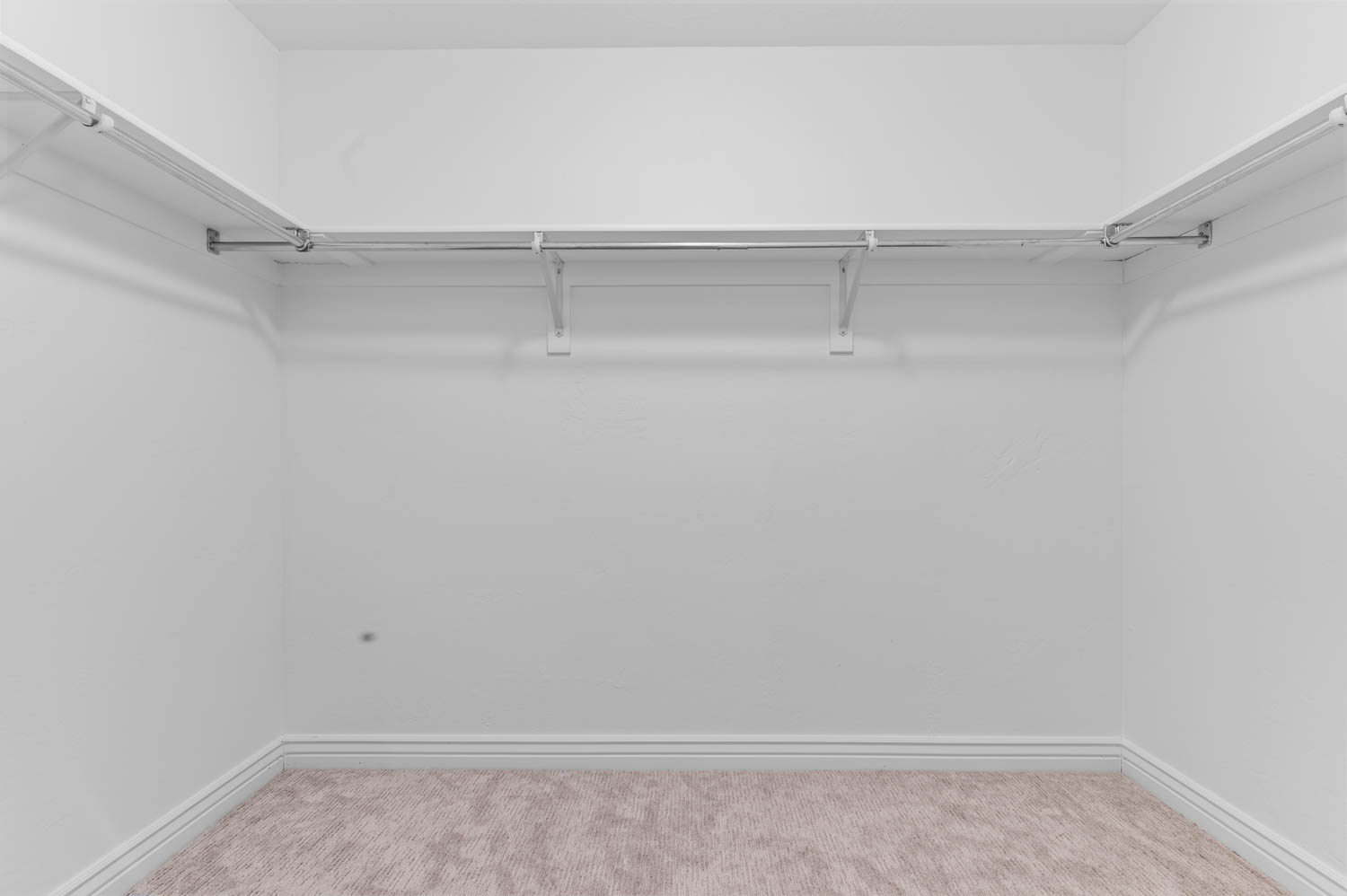 Walk-in closet featuring light beige carpeting, white walls, and white baseboards
