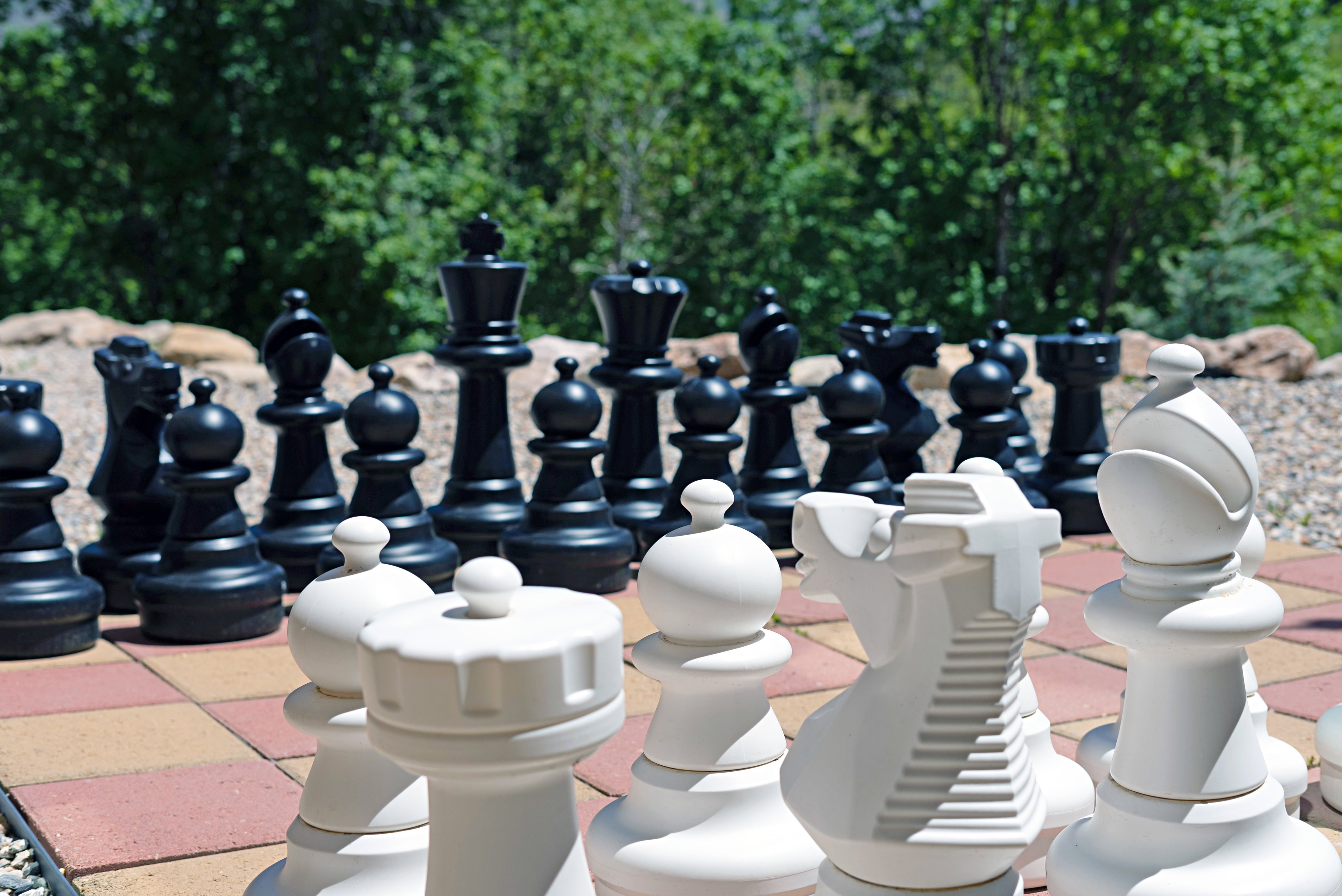 Life Size Chessboard