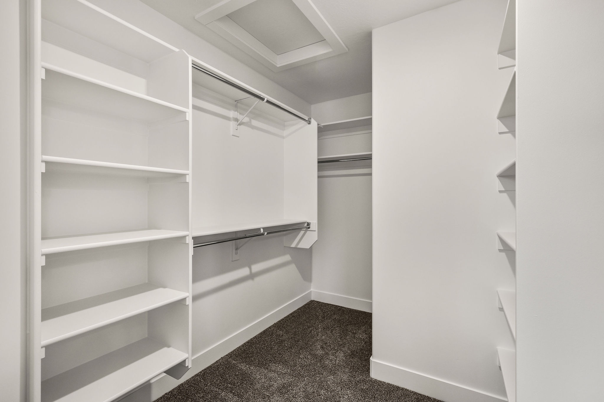 Walk-in closet featuring white built-in shelving, multiple hanging rods, dark carpet flooring, and white baseboards