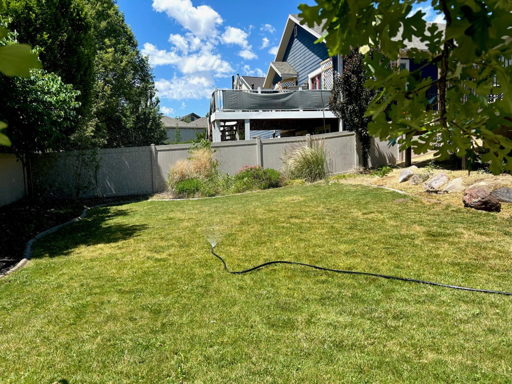 Expansive rear yard featuring green lawn, established perimeter trees, and a durable fence providing privacy