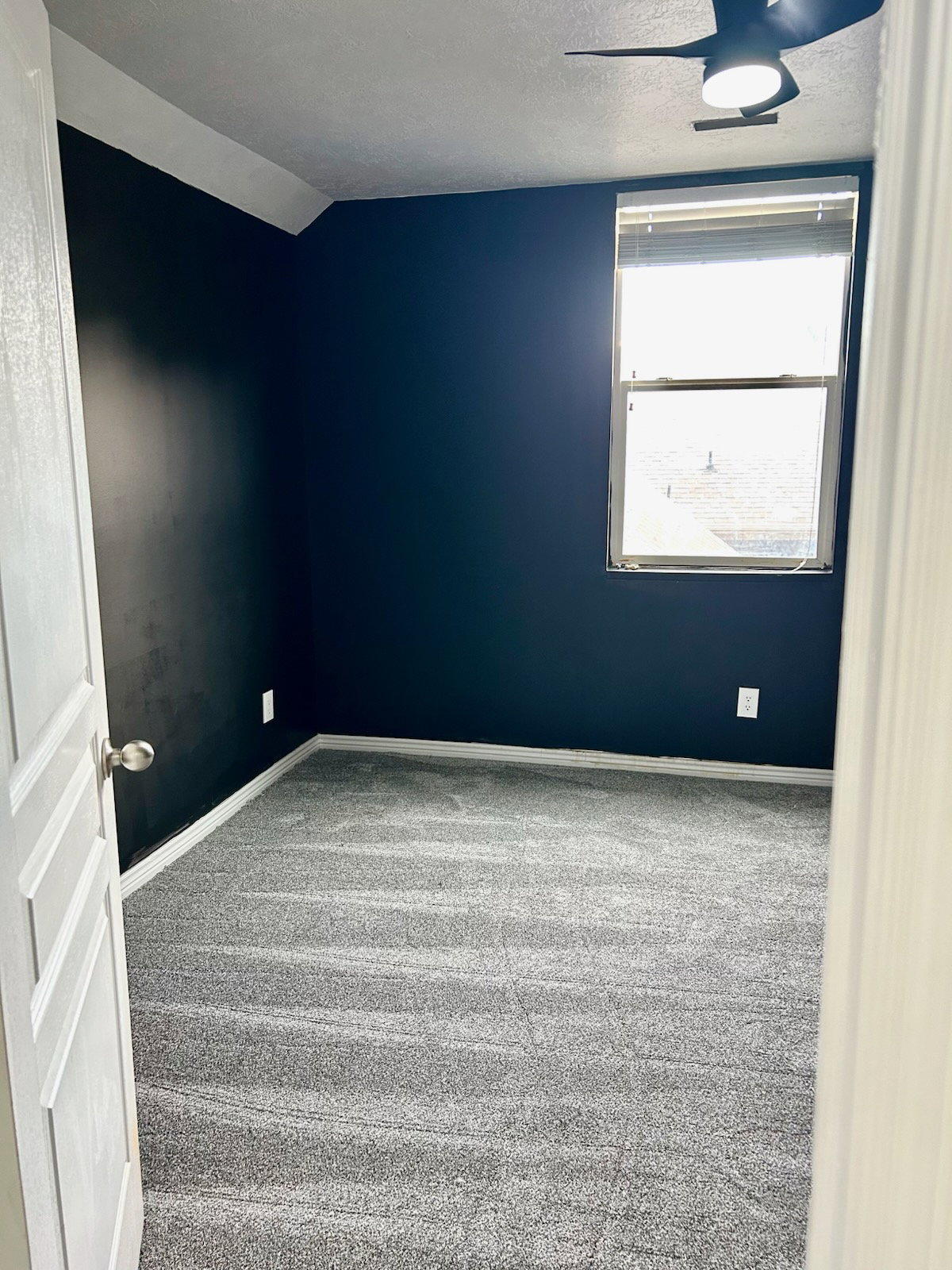 Room featuring dark accent walls, white trim, and light gray carpet