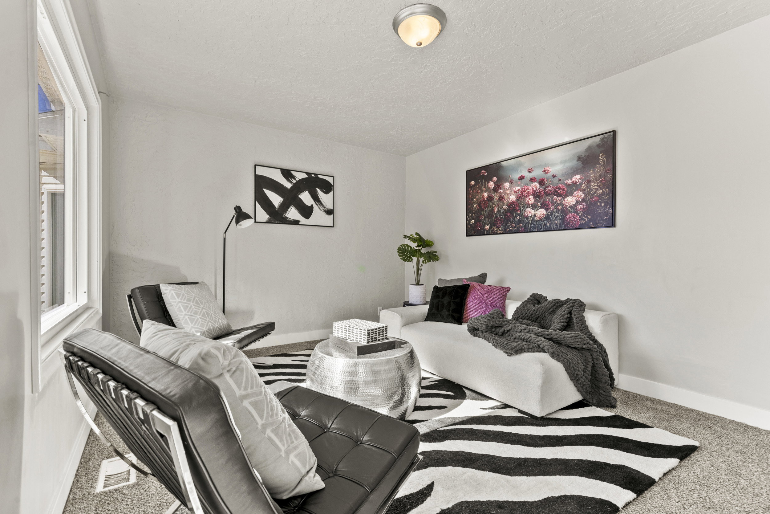 Bright living space featuring carpet flooring and white walls