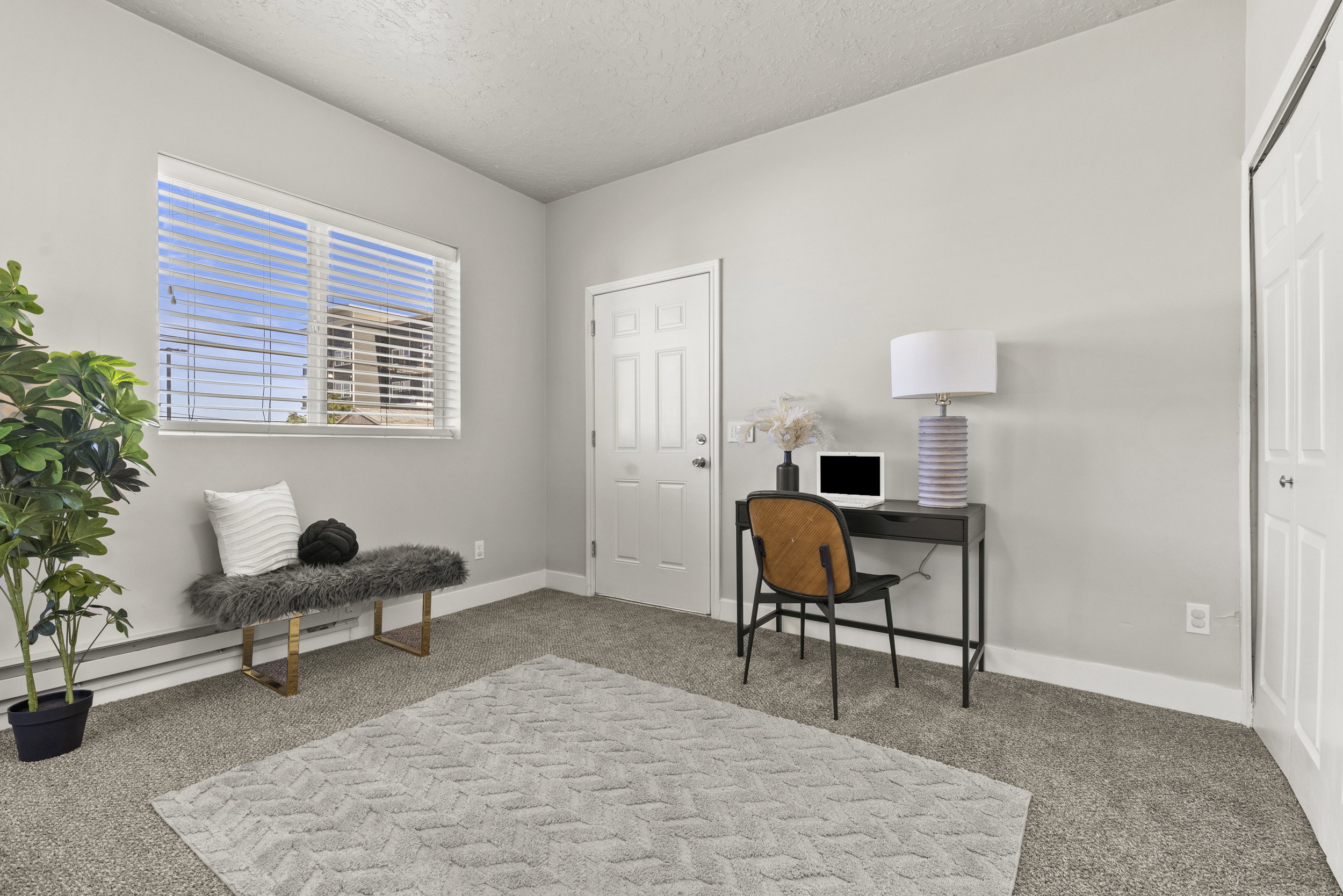 Neutral-toned wall paint and grey carpeting create a versatile interior space