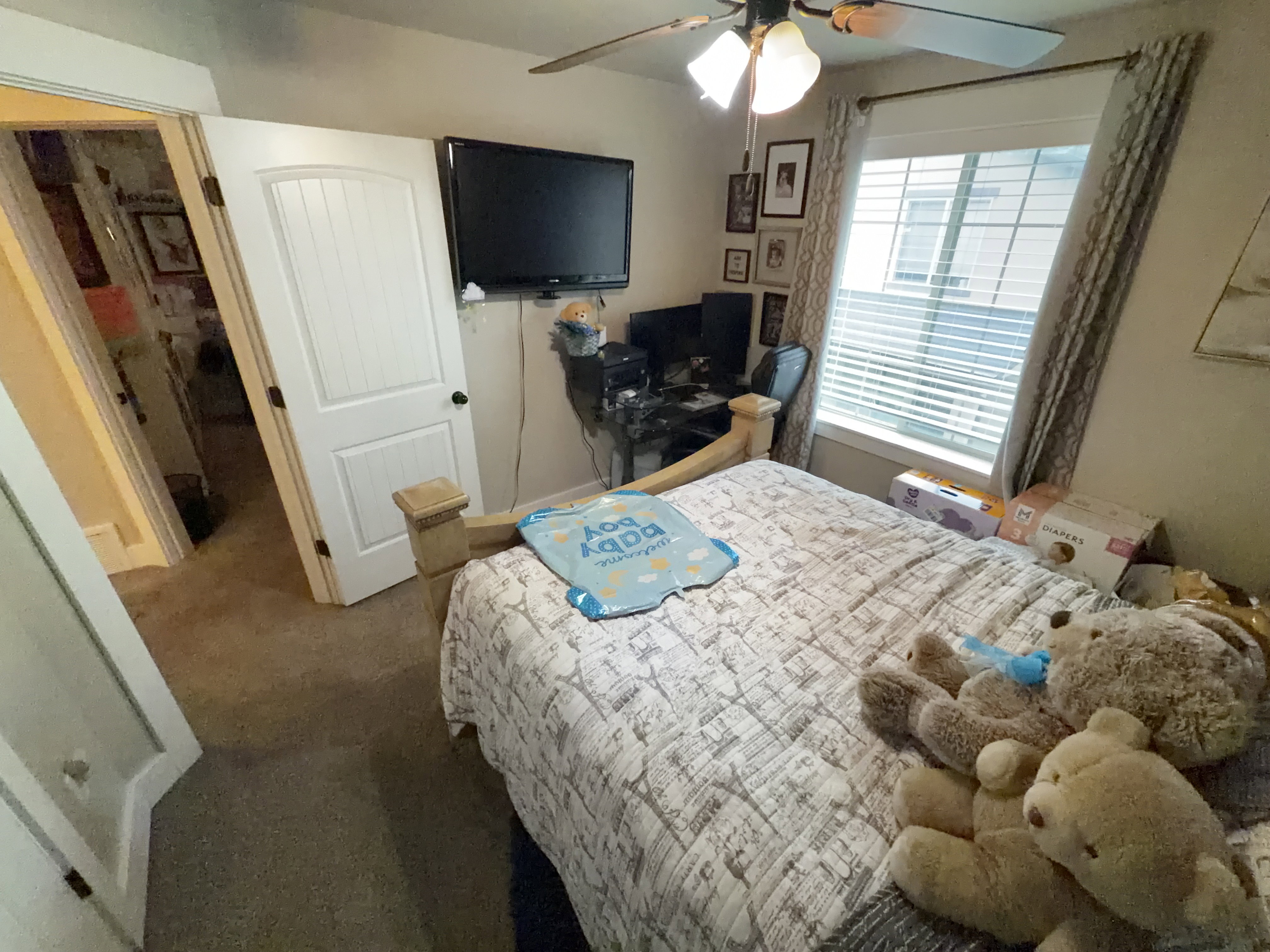 Carpeted interior room featuring a ceiling fan with integrated lighting, a window with blinds and patterned drapes, and a white paneled door