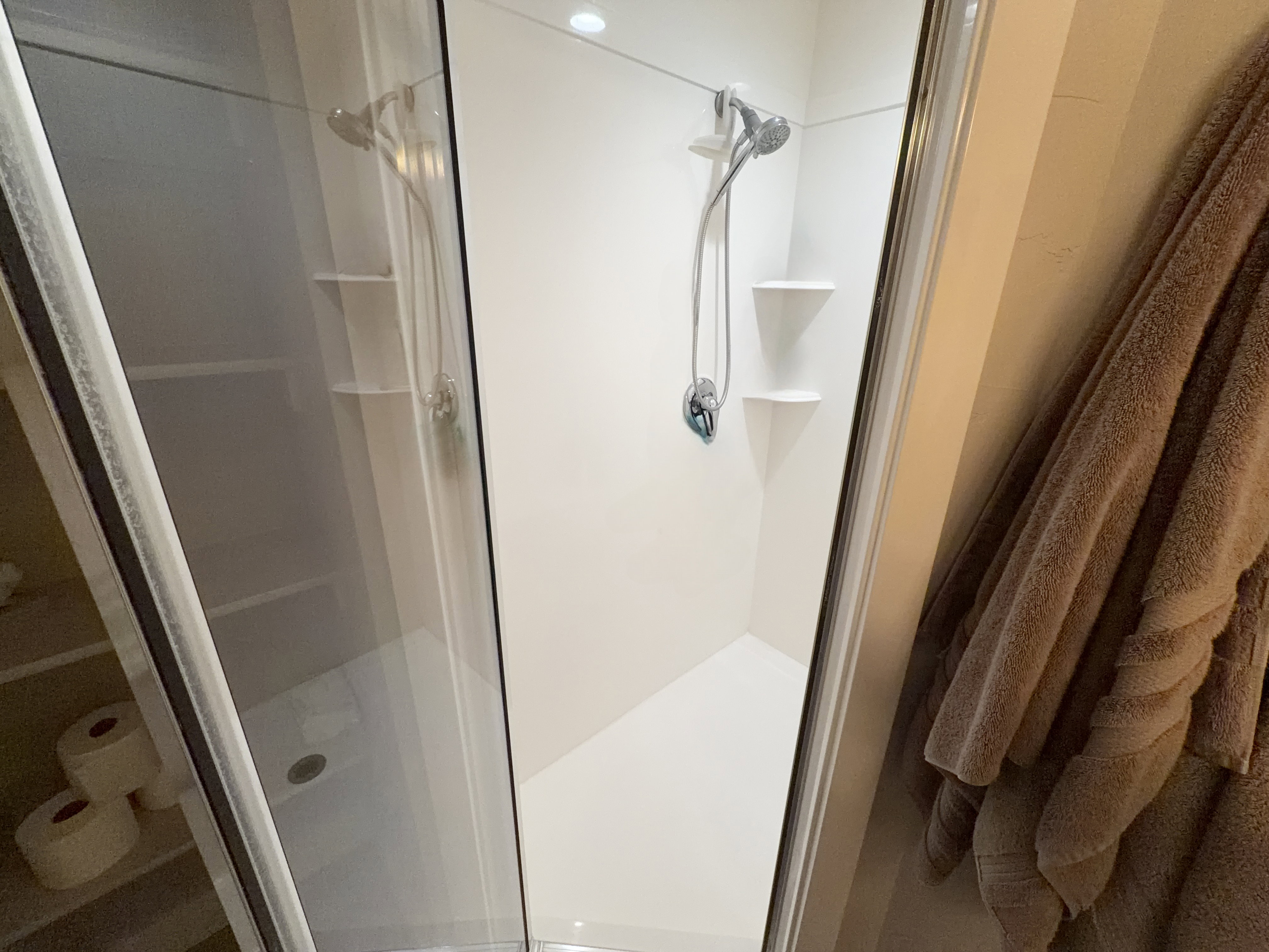 Modern shower enclosure featuring a glass door with brushed chrome trim, a multi-function showerhead, and integrated corner shelving