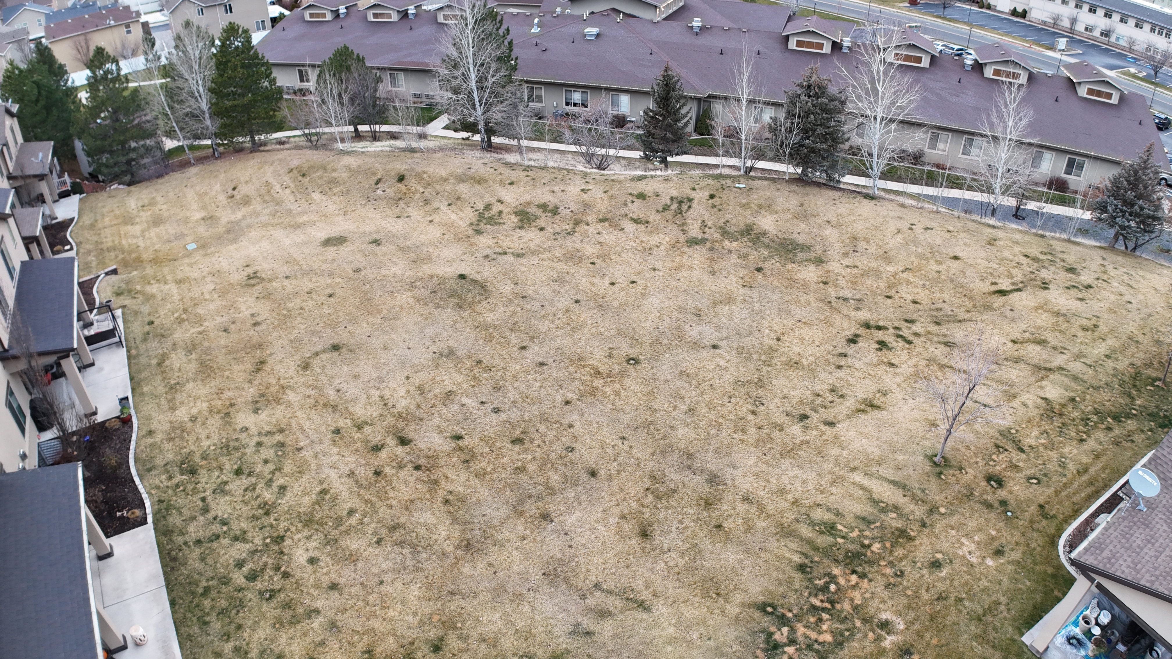 Expansive undeveloped land parcel featuring existing surrounding residential structures and mature perimeter trees