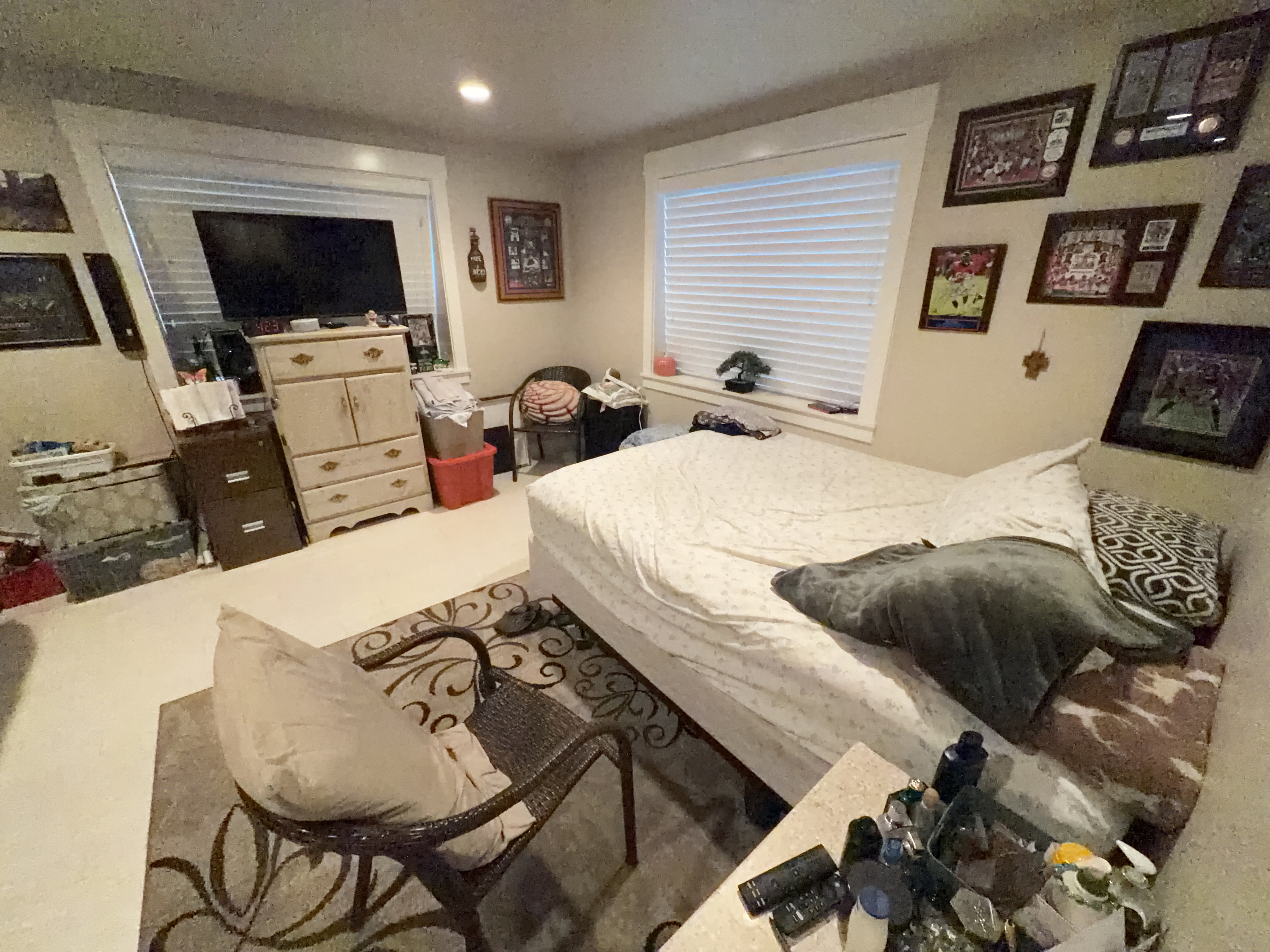 Image quality insufficient for description
