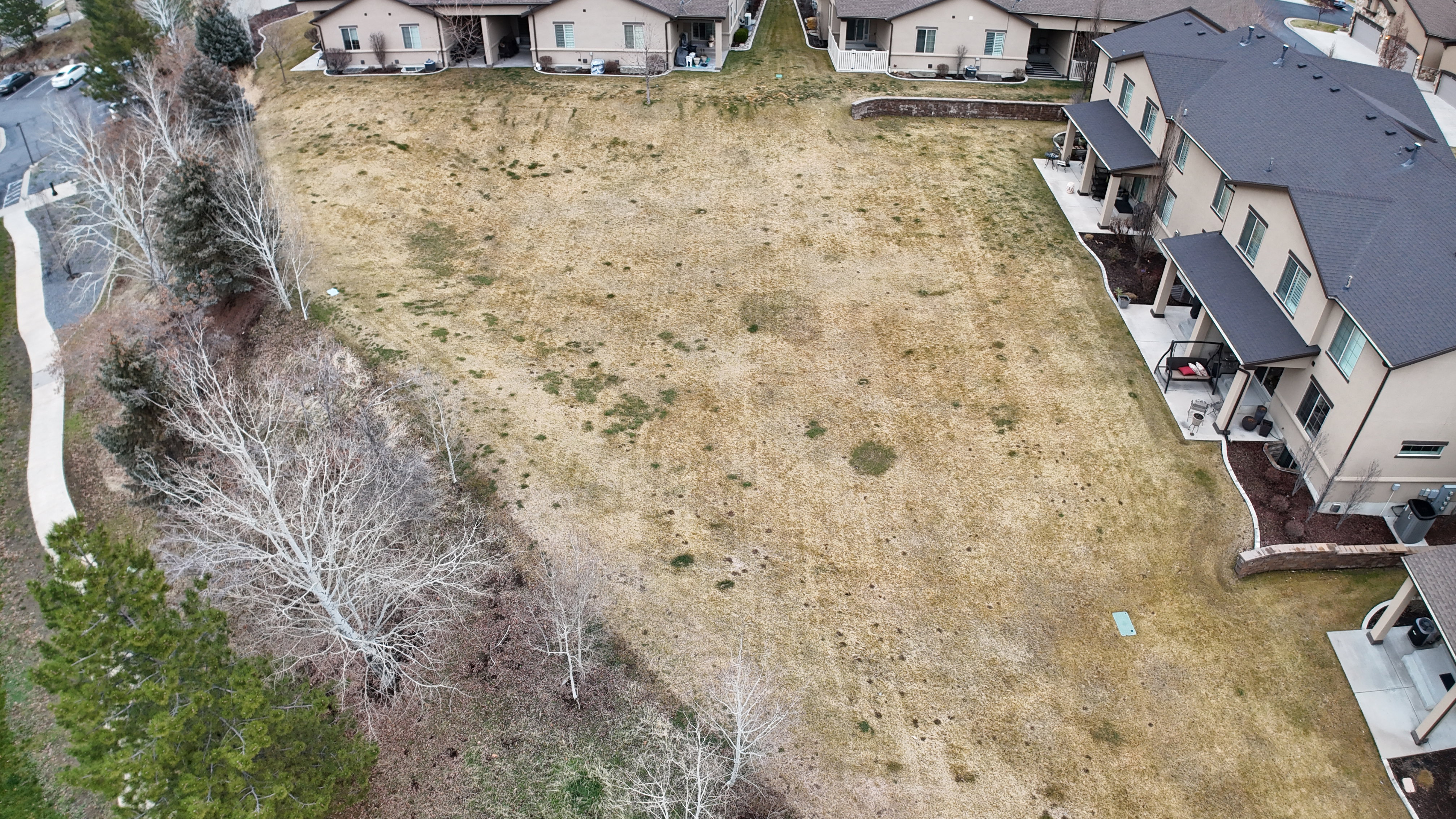 Expansive undeveloped lot featuring natural ground cover, bordered by mature deciduous and evergreen trees