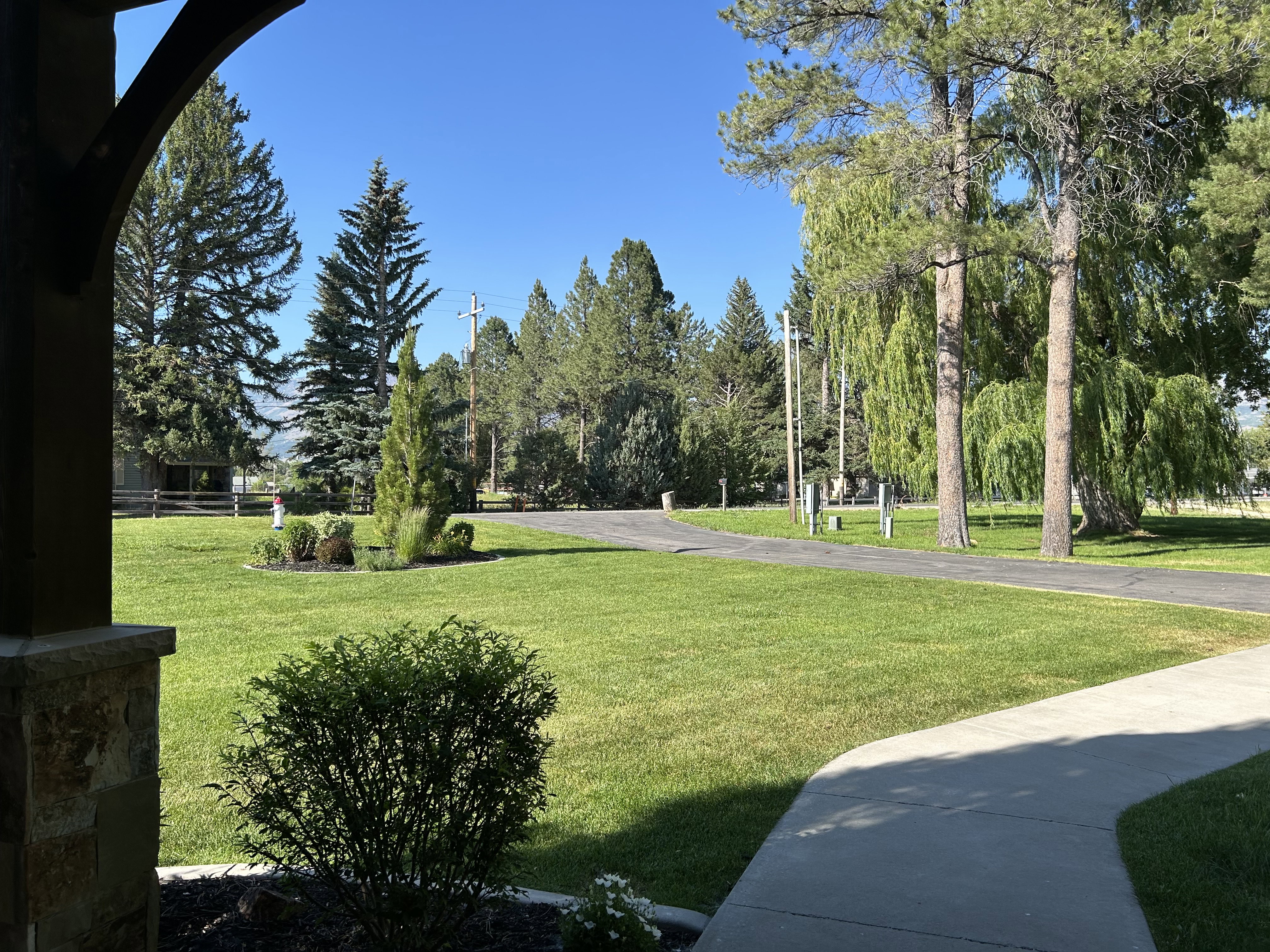 Expansive green lawn with mature trees and a paved driveway
