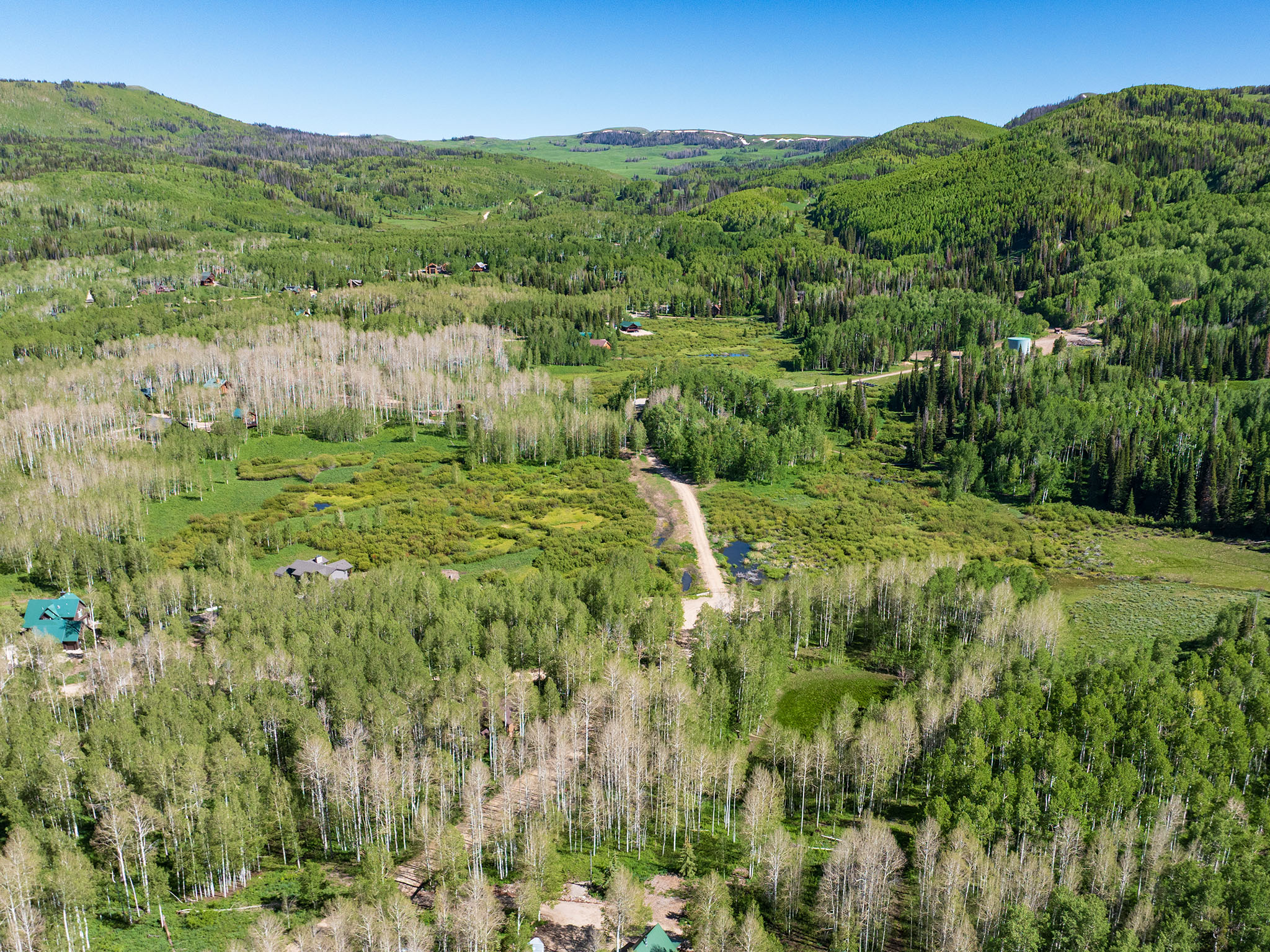 Expansive natural landscape featuring lush green foliage, dense forests of deciduous and evergreen trees, and rolling hills