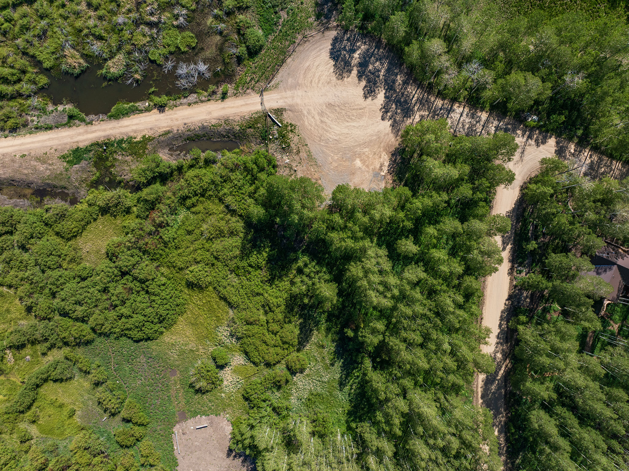Expansive natural landscape featuring lush green foliage, two distinct dirt roads, and a visible water body