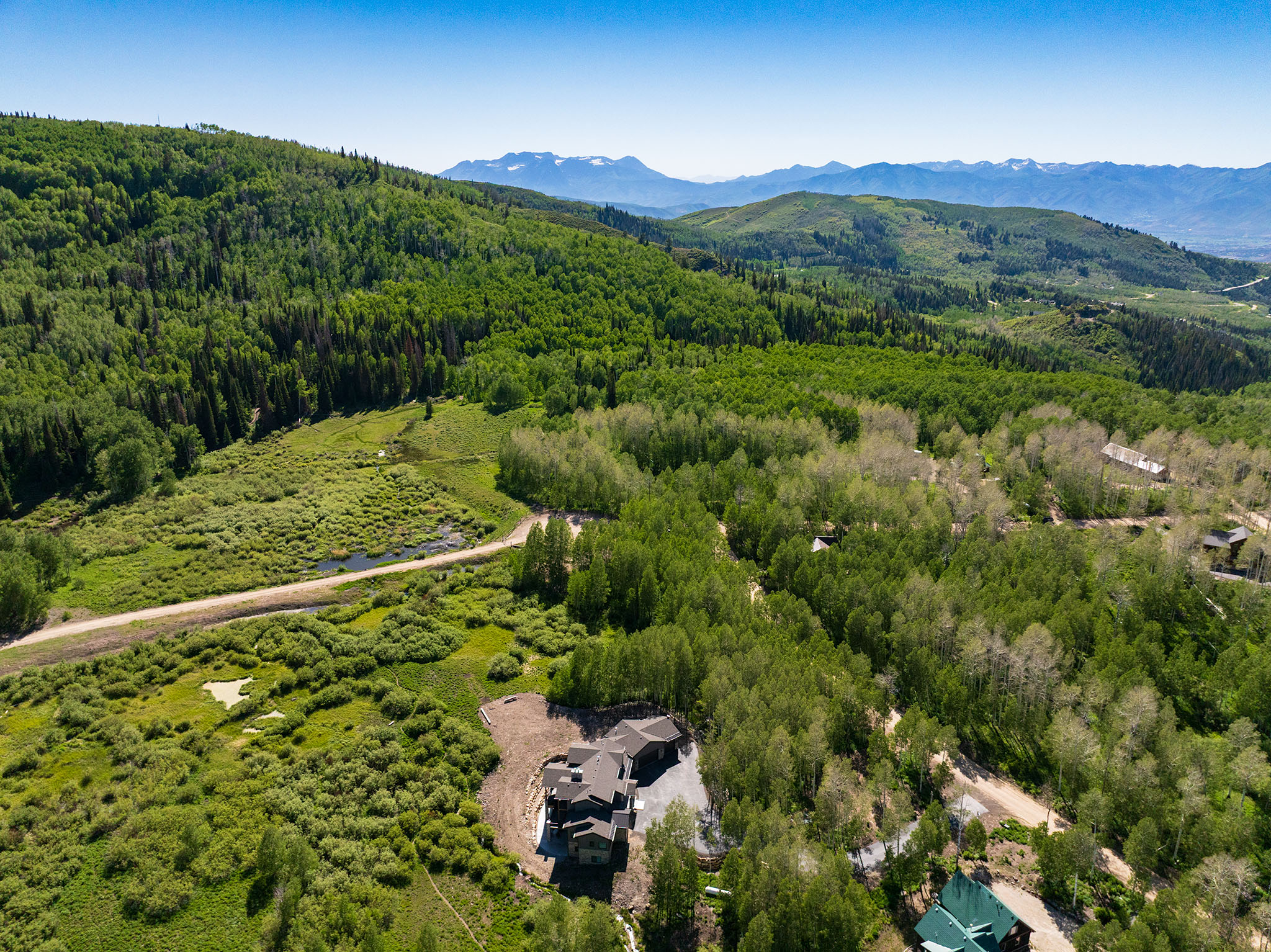 Expansive mountain landscape featuring dense green forests, distant snow-capped peaks, and a winding dirt road bordering a marshy area