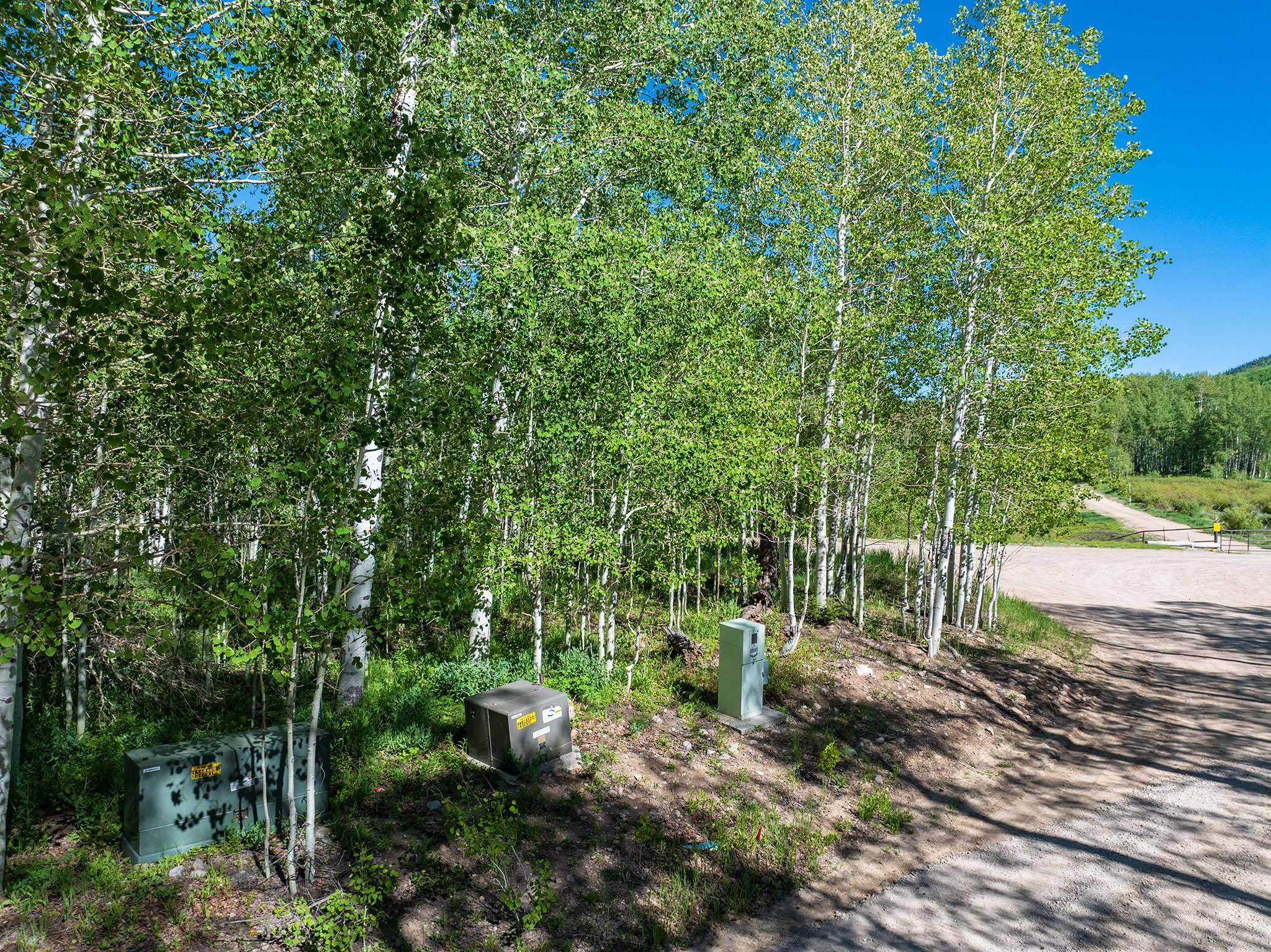 Mature aspen trees provide natural landscaping alongside a gravel road