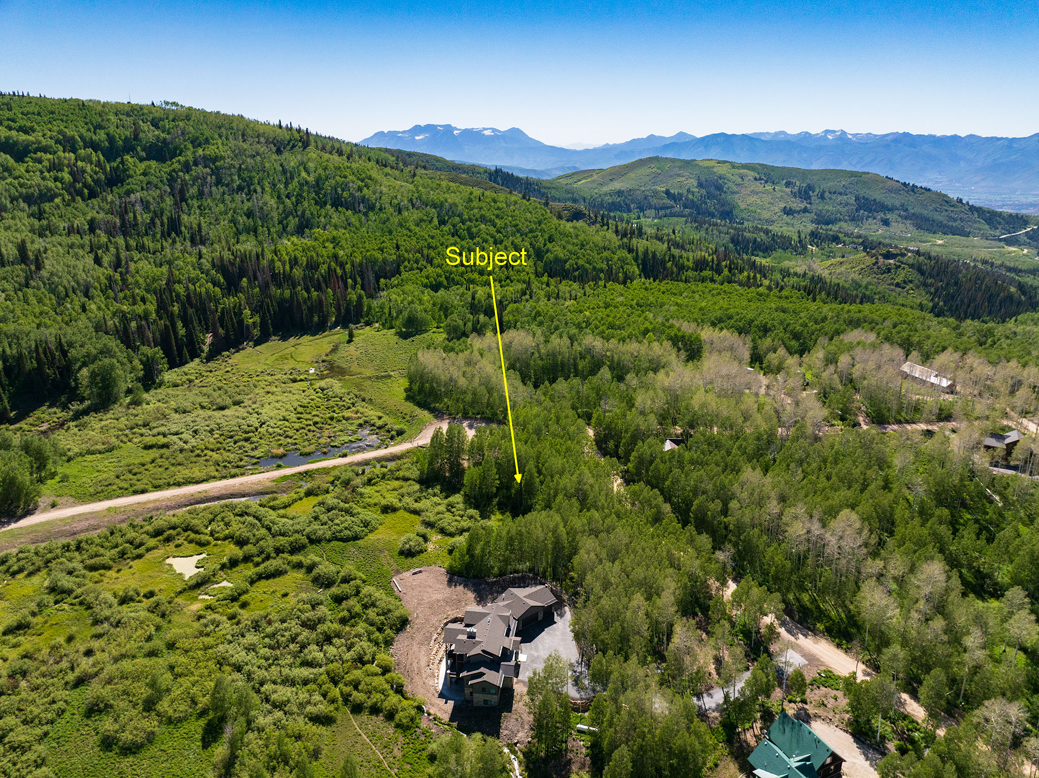 Expansive undeveloped land parcel surrounded by abundant mature trees and natural vegetation