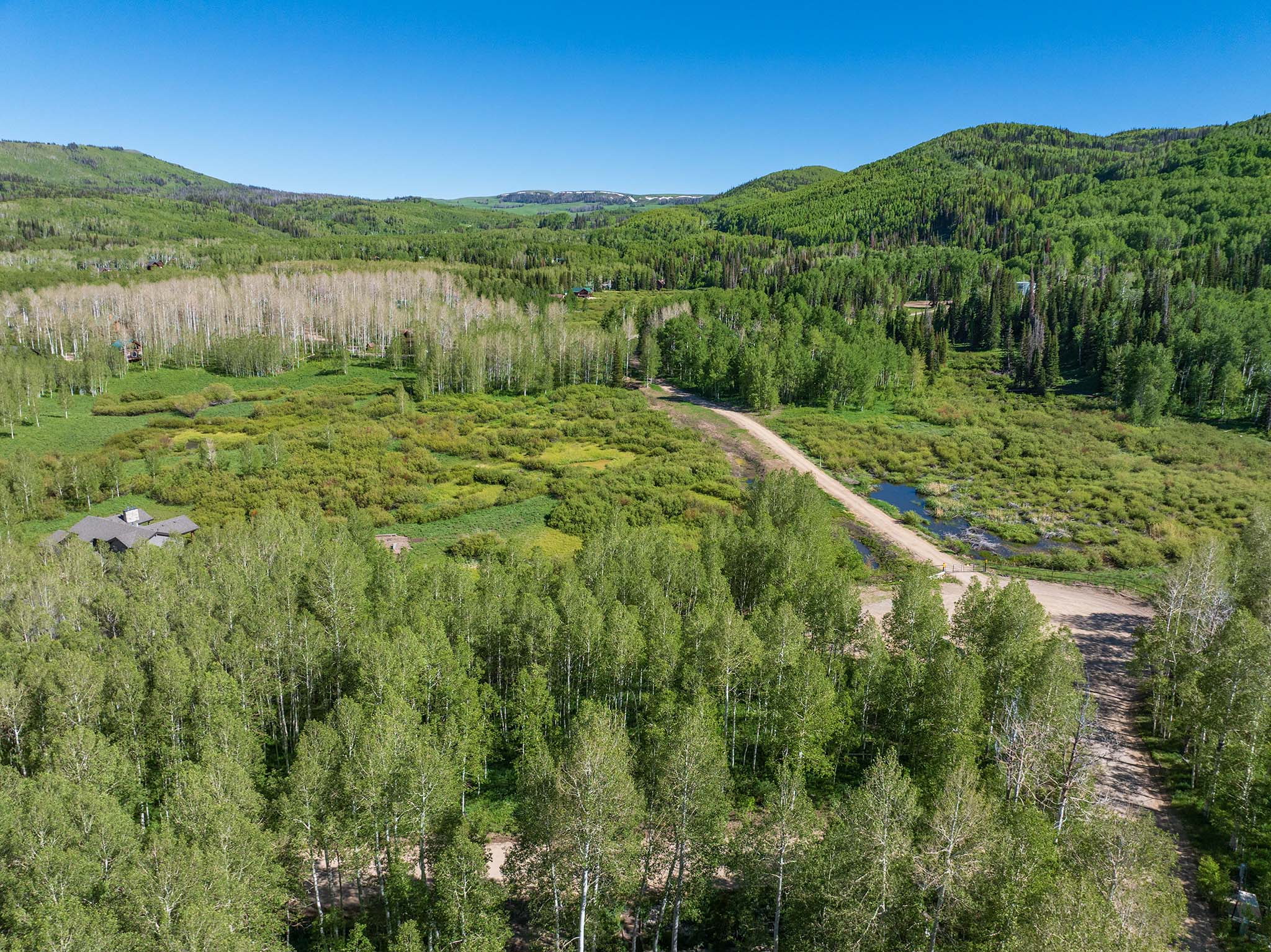 Extensive natural landscape featuring a winding dirt road, diverse tree coverage including aspens, and a small body of water