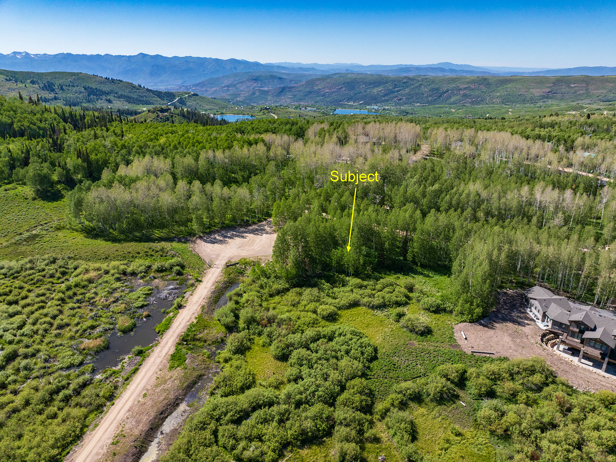 Expansive undeveloped land parcel surrounded by mature trees and natural vegetation