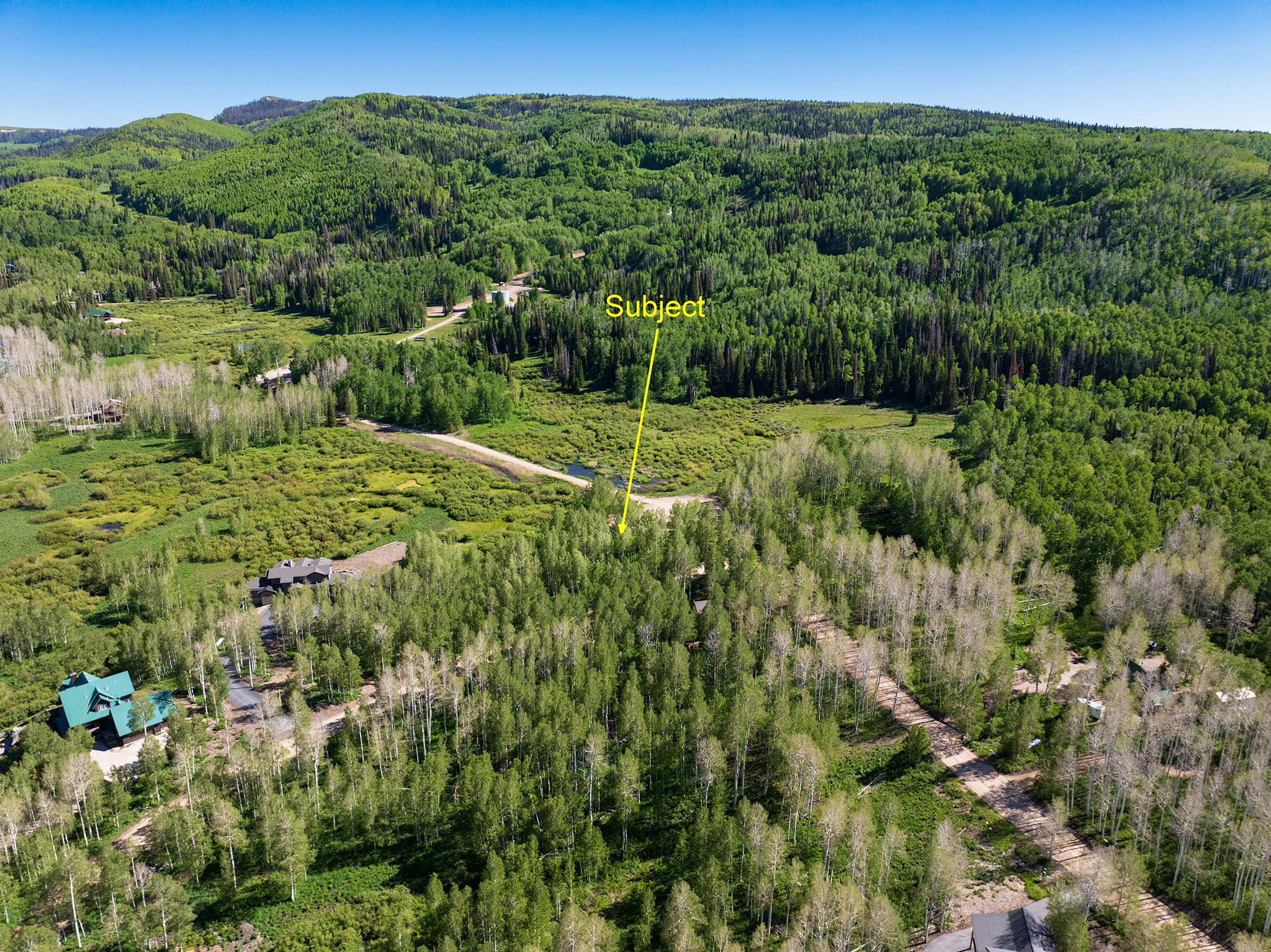 Expansive wooded parcel featuring mature trees, a natural water body, and a winding dirt road