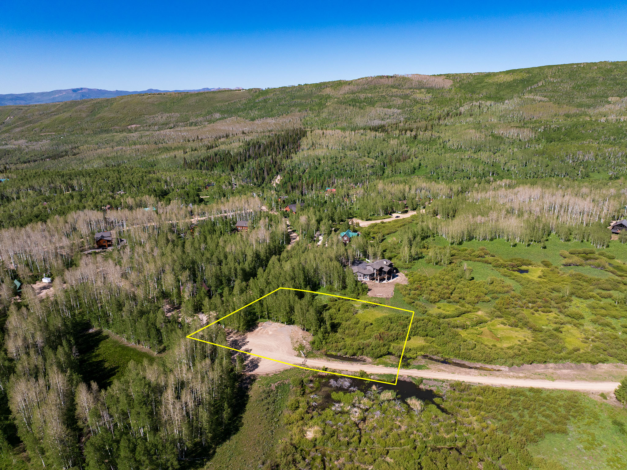 Expansive wooded lot featuring mature trees and a cleared building site