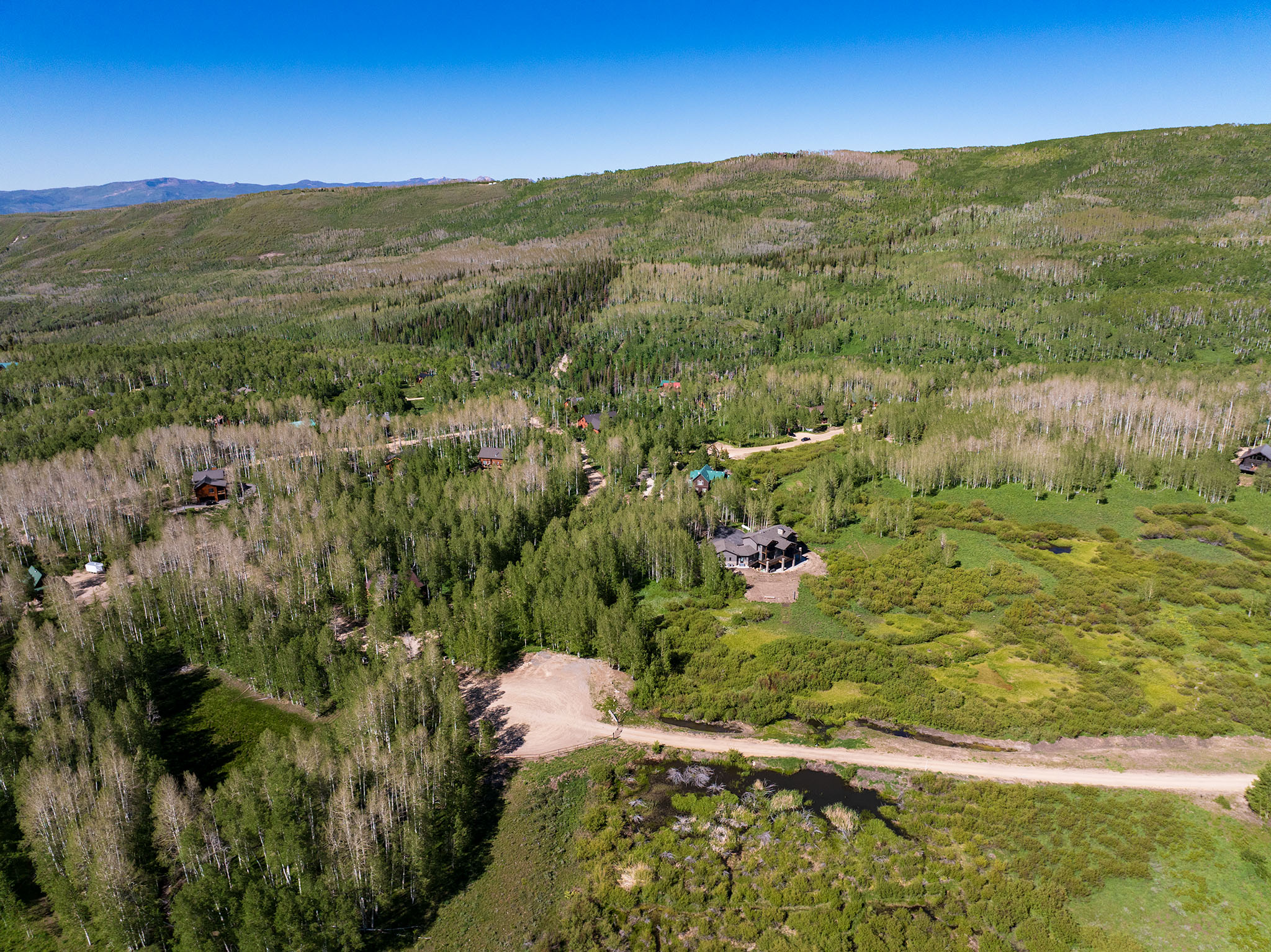 Expansive property featuring a mix of deciduous and evergreen trees, a dirt road, and a distant residence with a dark roof