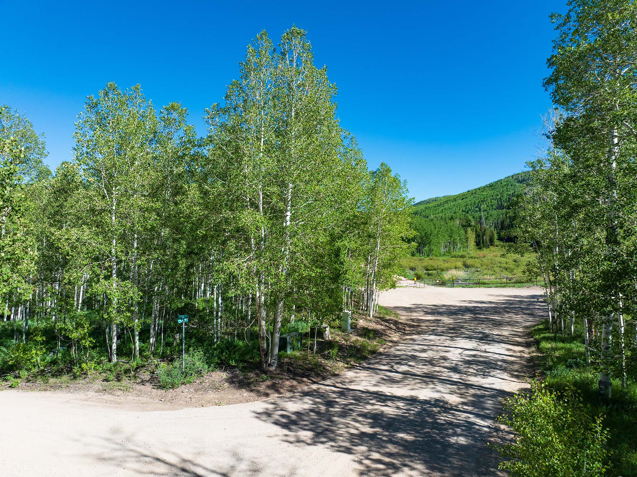 Wooded landscape featuring a dirt road intersection, mature deciduous trees, and distant green hills