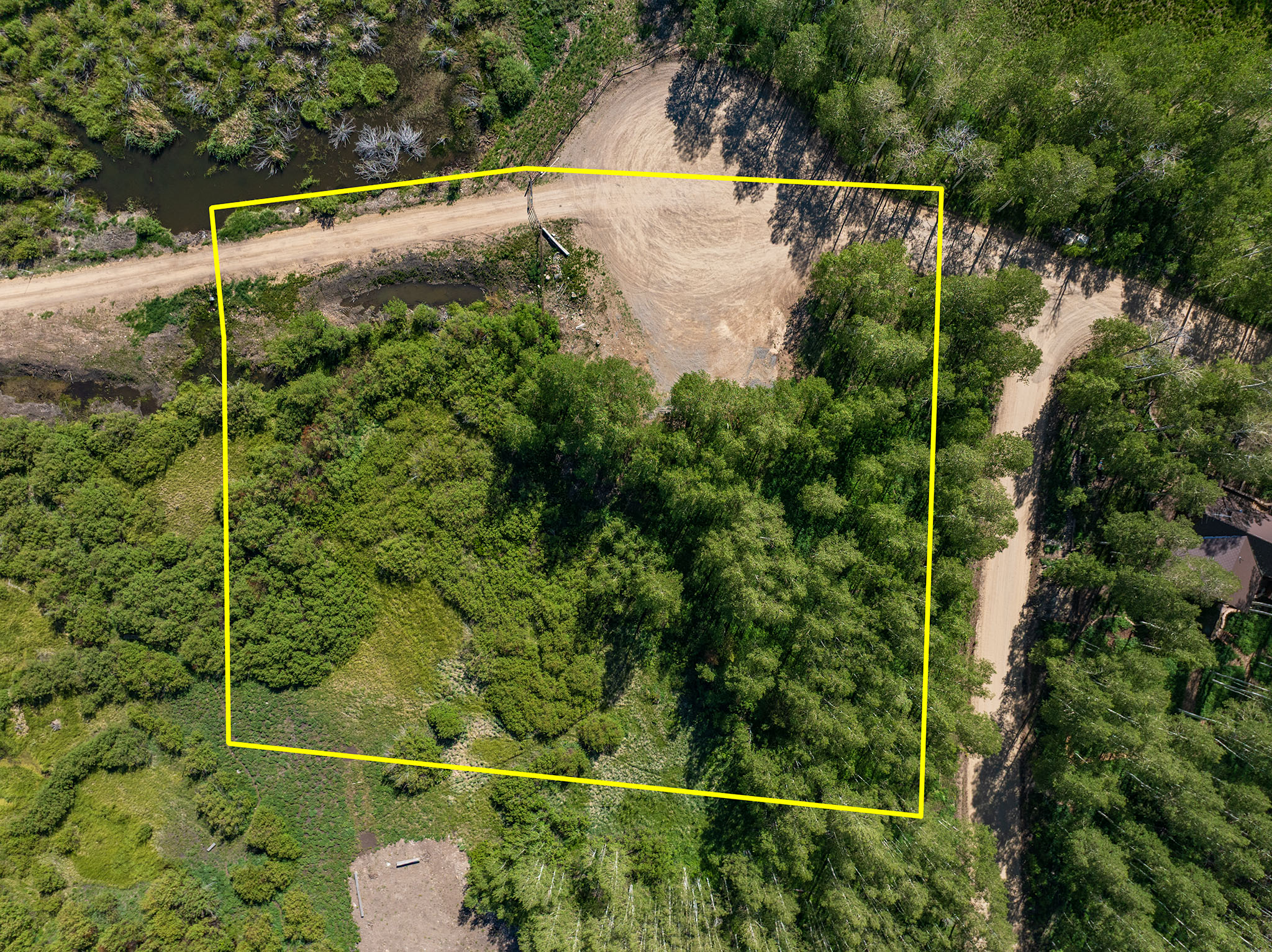 Expansive wooded lot featuring mature trees and a natural water feature