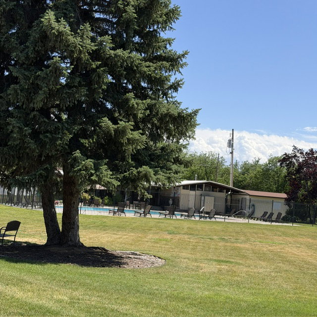 Expansive green space featuring mature trees and a fenced pool area