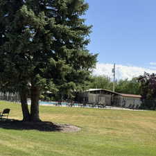 Expansive green space featuring mature trees and a fenced pool area