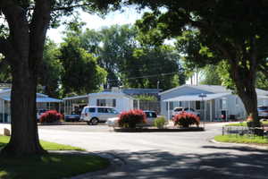 Residential streetscape with plenty of extra parking  featuring mature trees, a paved roadway, and manicured shrubbery