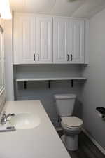 Primary Bathroom featuring white cabinetry with dark hardware, a white built-in sink, a neutral countertop, and wood-finish flooring