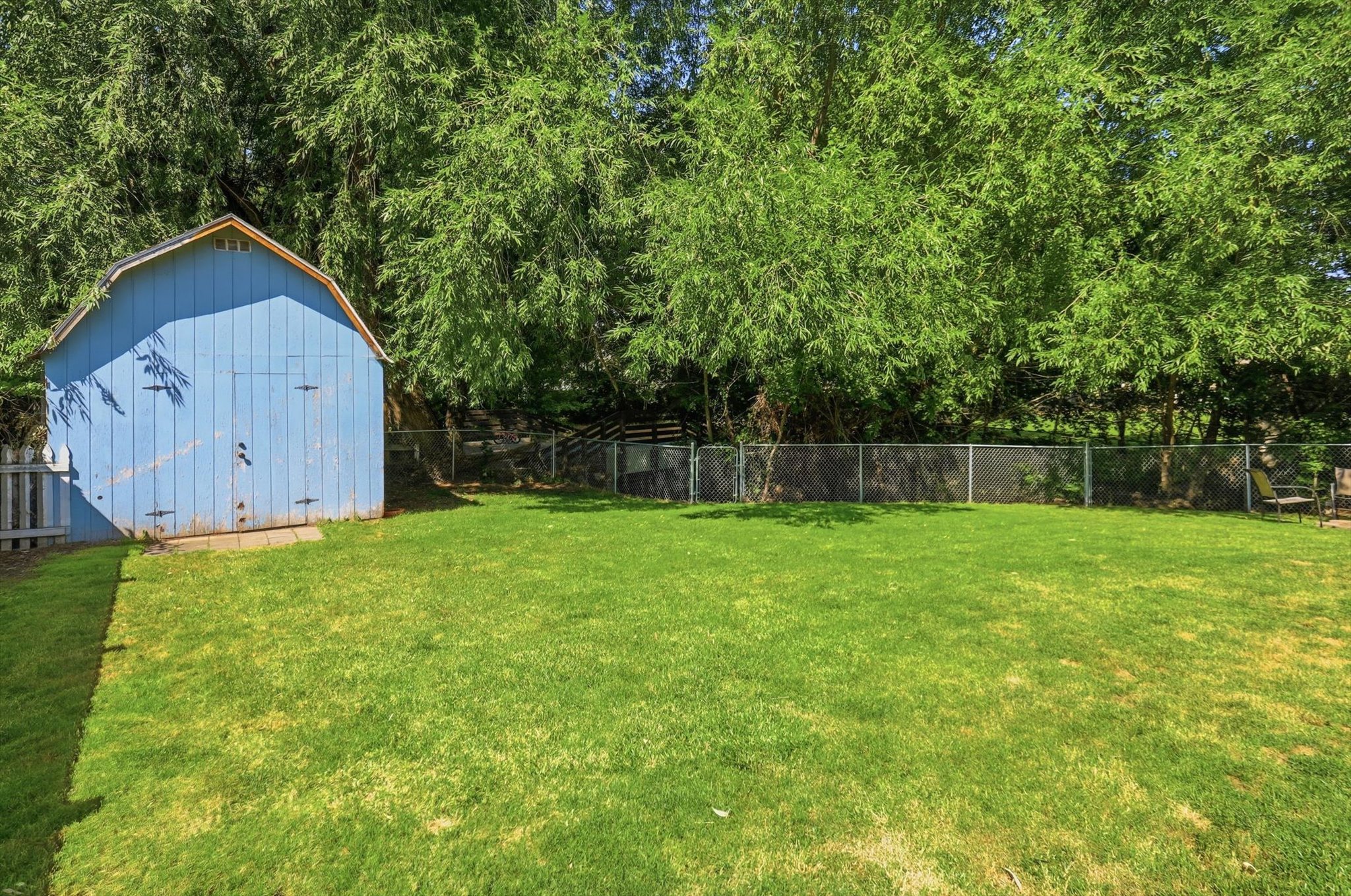 Expansive grass lawn featuring a blue storage shed with a gambrel roof, bordered by mature trees and a chain-link fence