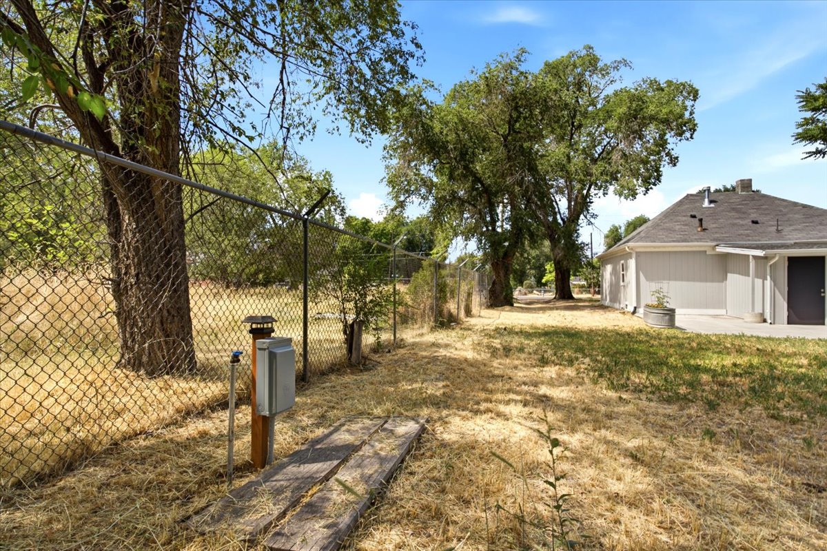 Expansive outdoor area featuring mature trees, a chain-link fence. Almost fully fenced.