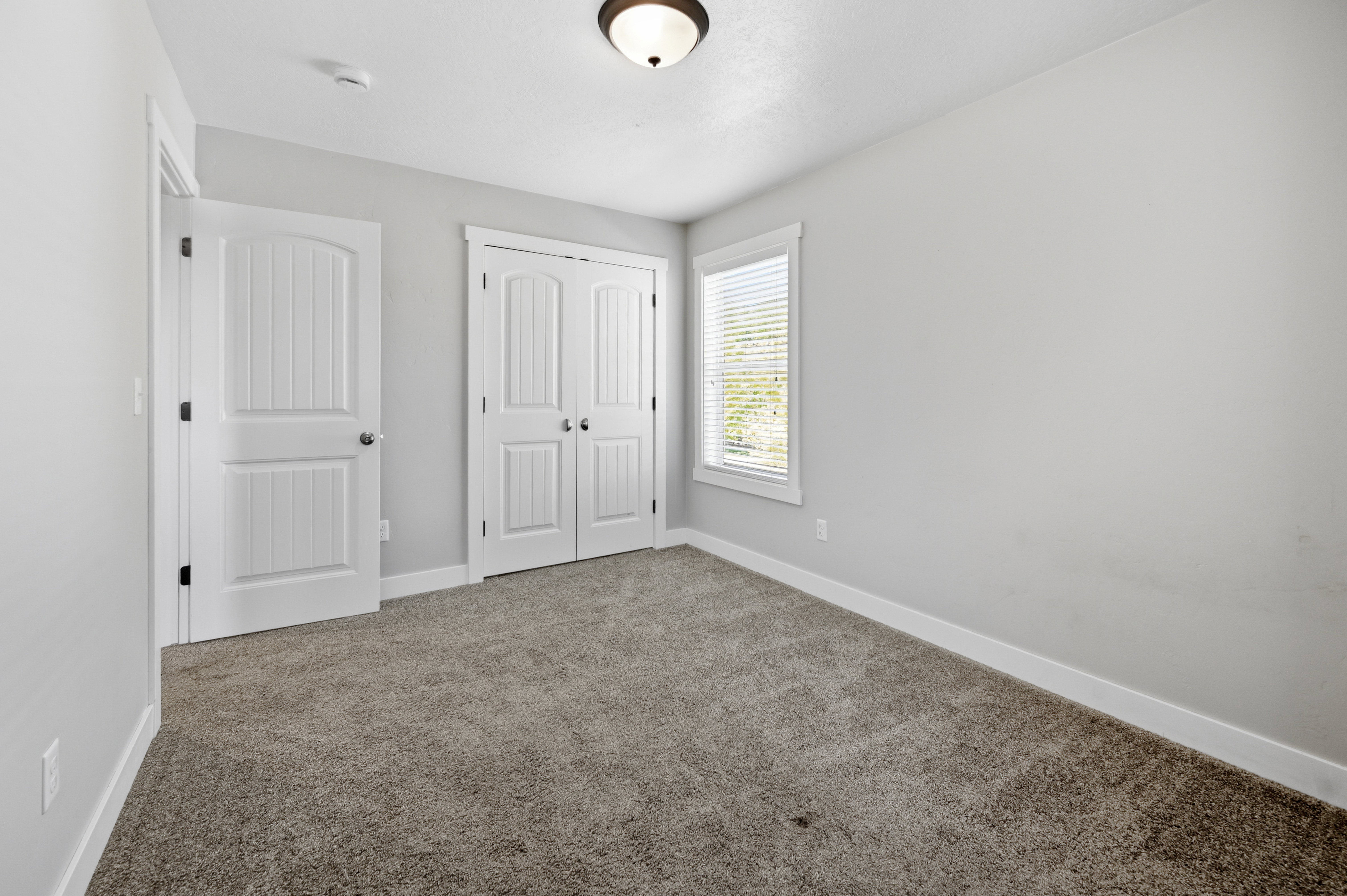 Carpeted room with light grey walls