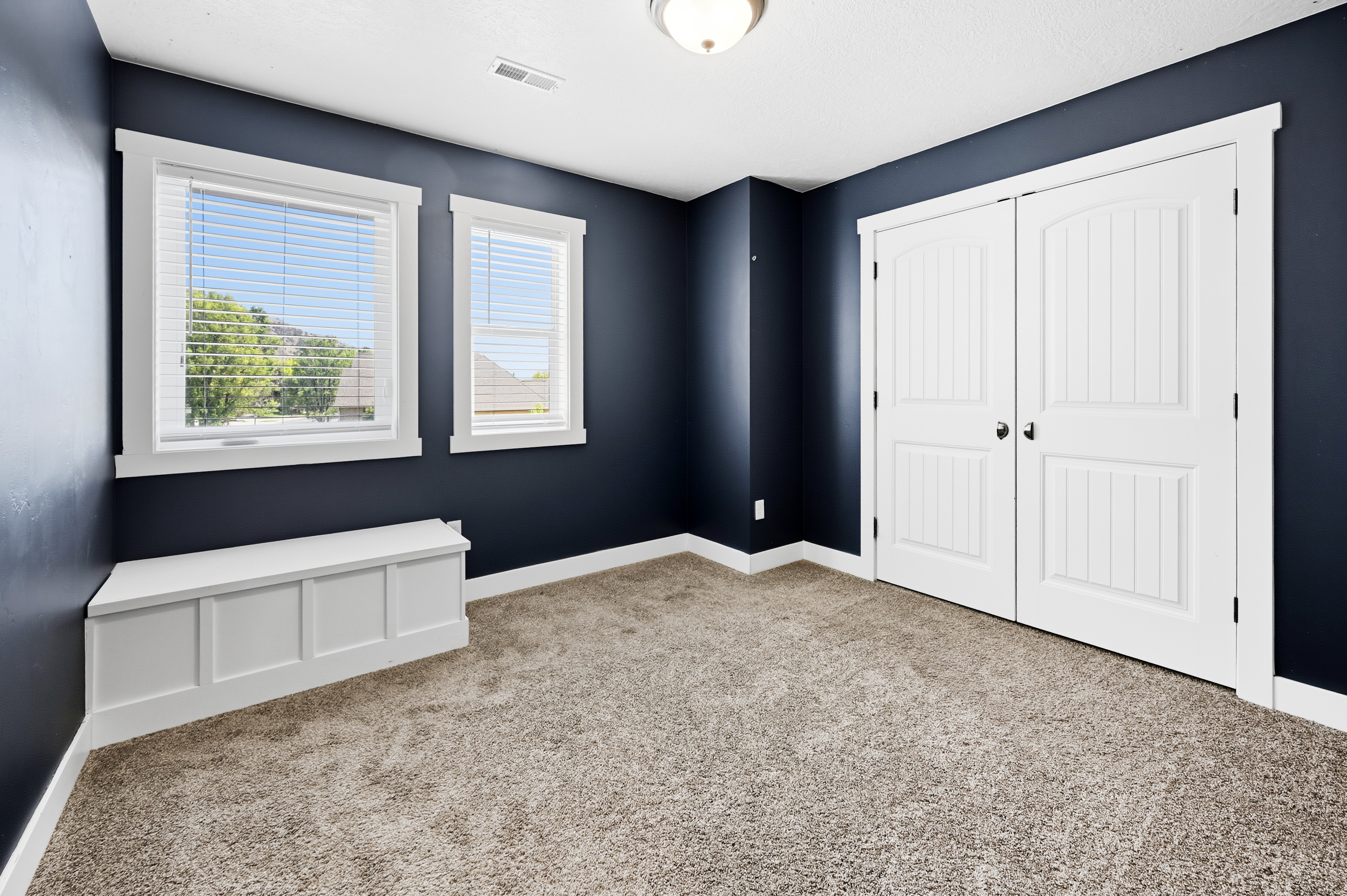 Room featuring dark-toned walls and plush carpet flooring