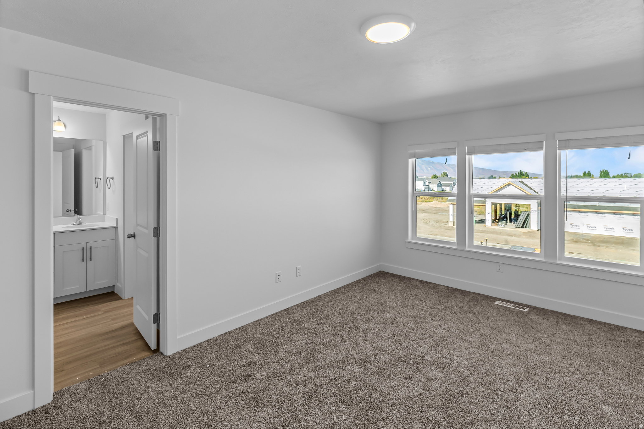 Light-filled room featuring three large windows, neutral carpet flooring, and a flush mount ceiling light
