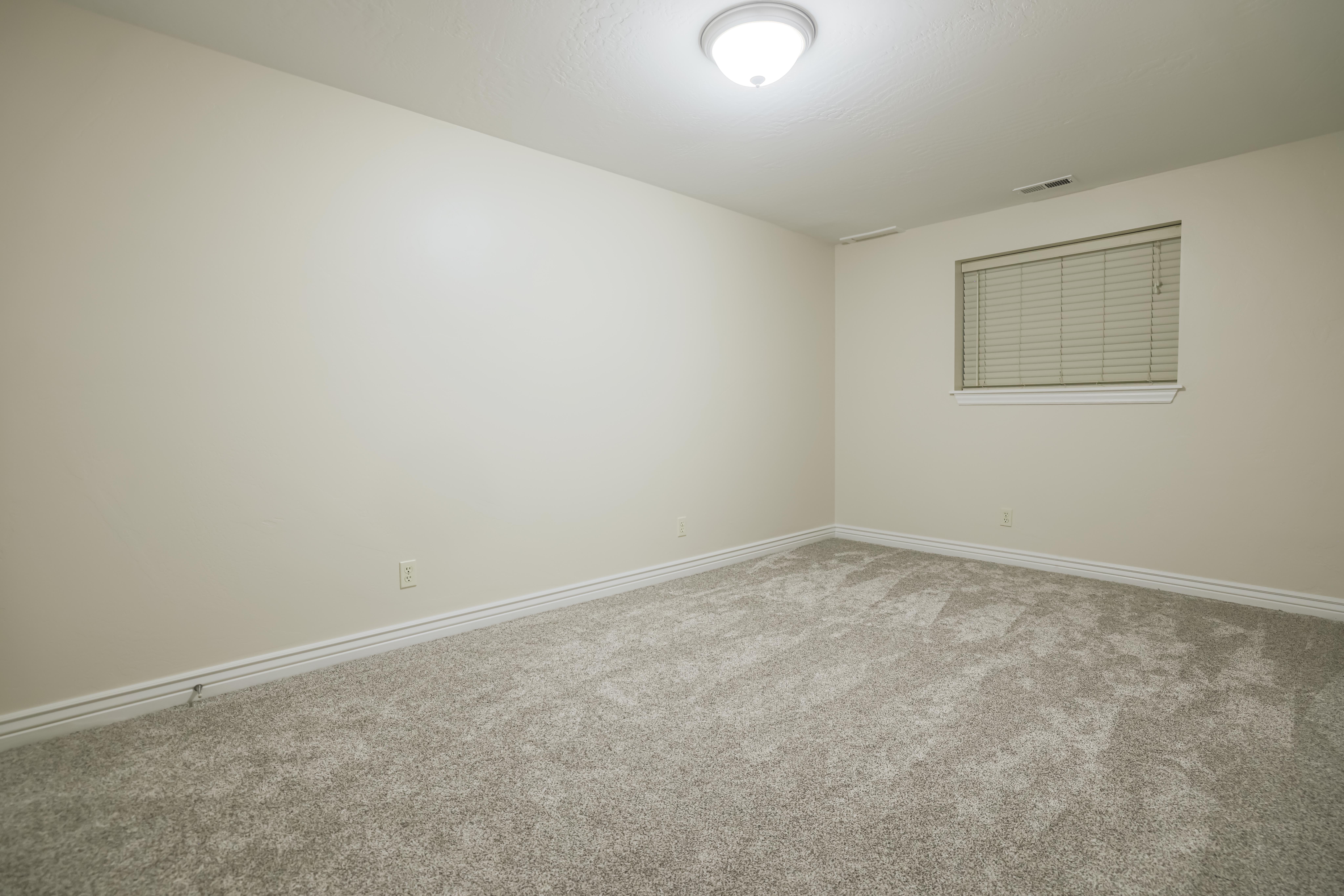 Neutral-toned walls complement the plush carpet