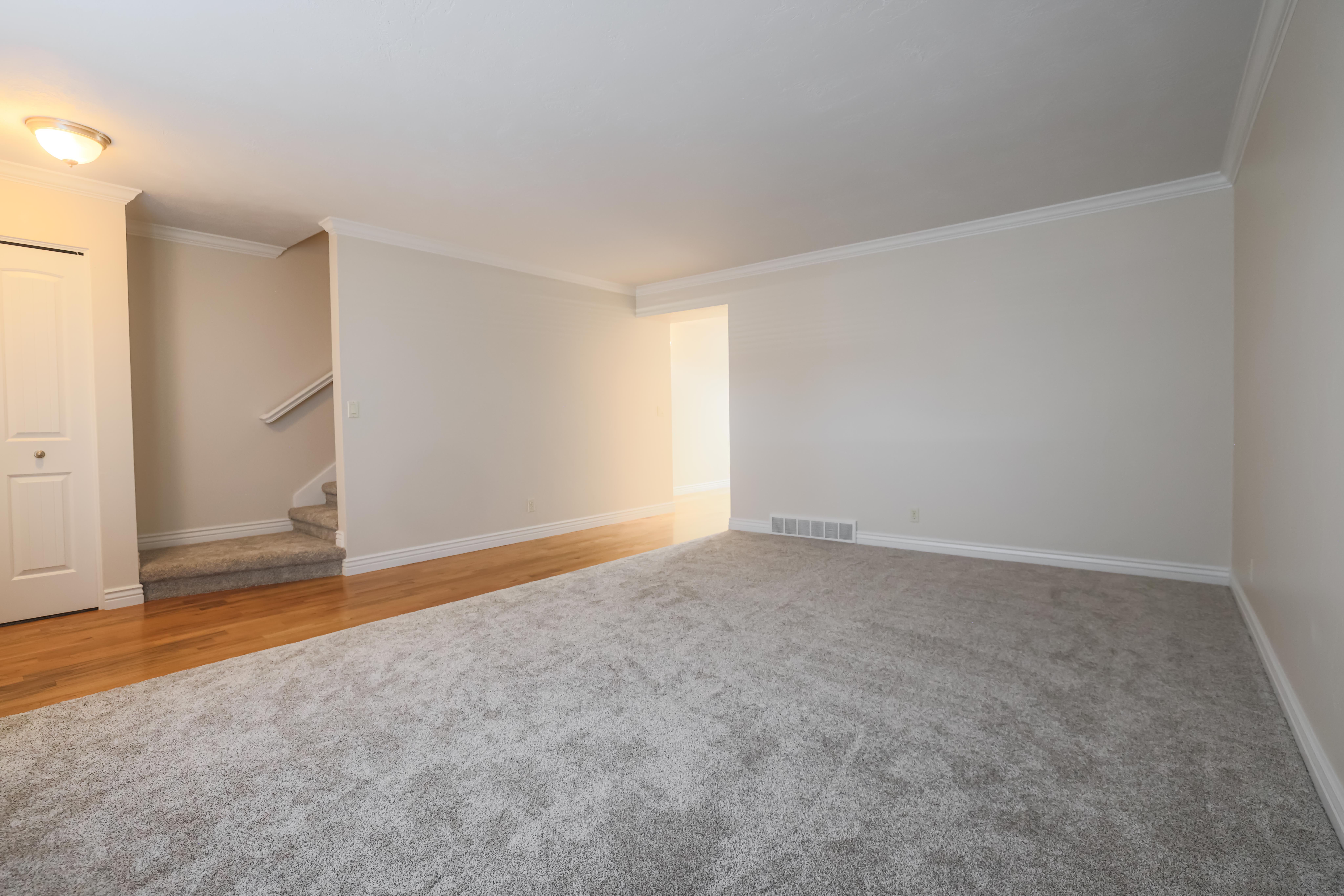 Spacious room featuring new carpeting and wood-finish flooring