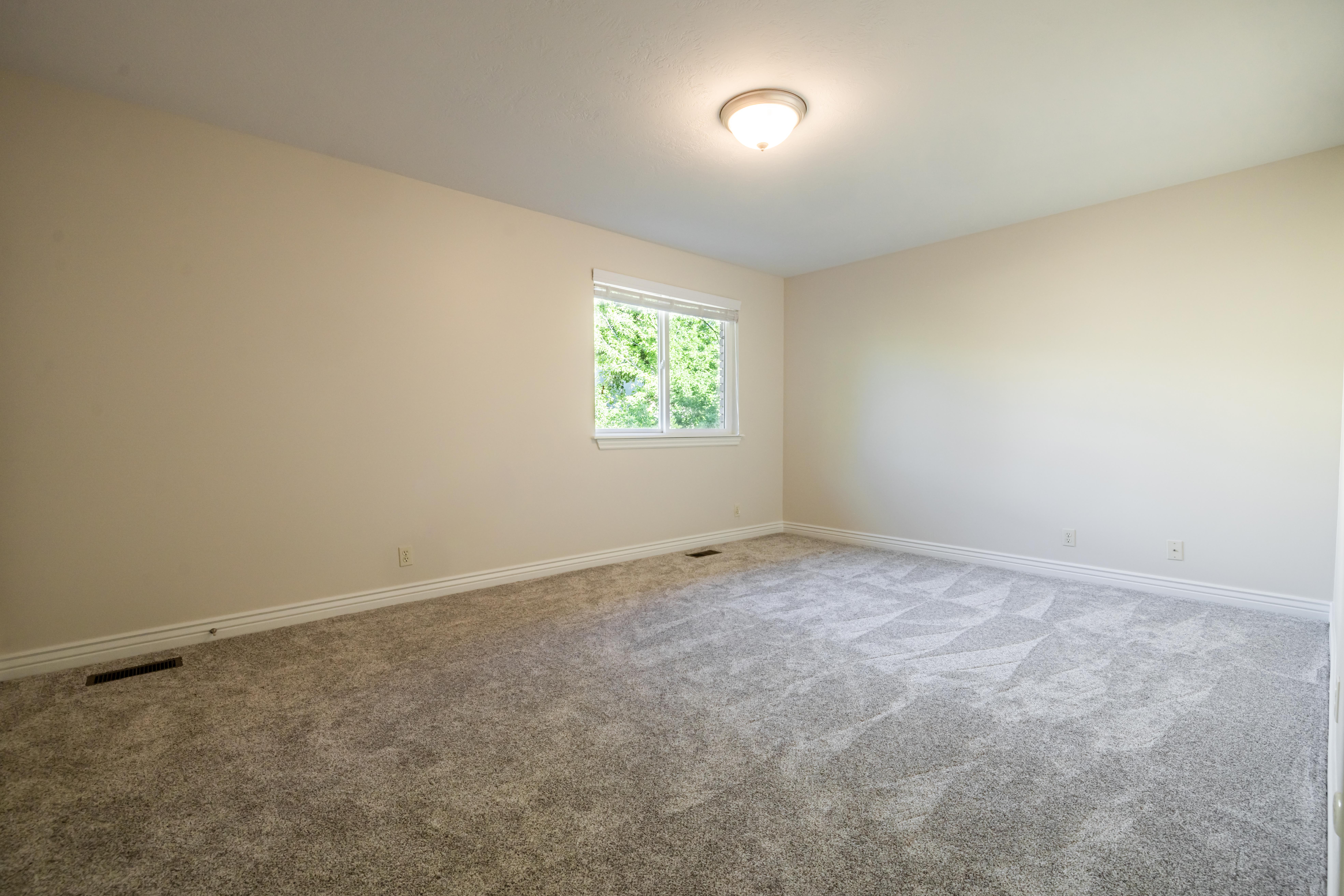 featuring textured carpet flooring, light-toned wall paint, a single window, white baseboards, and a ceiling-mounted light fixture