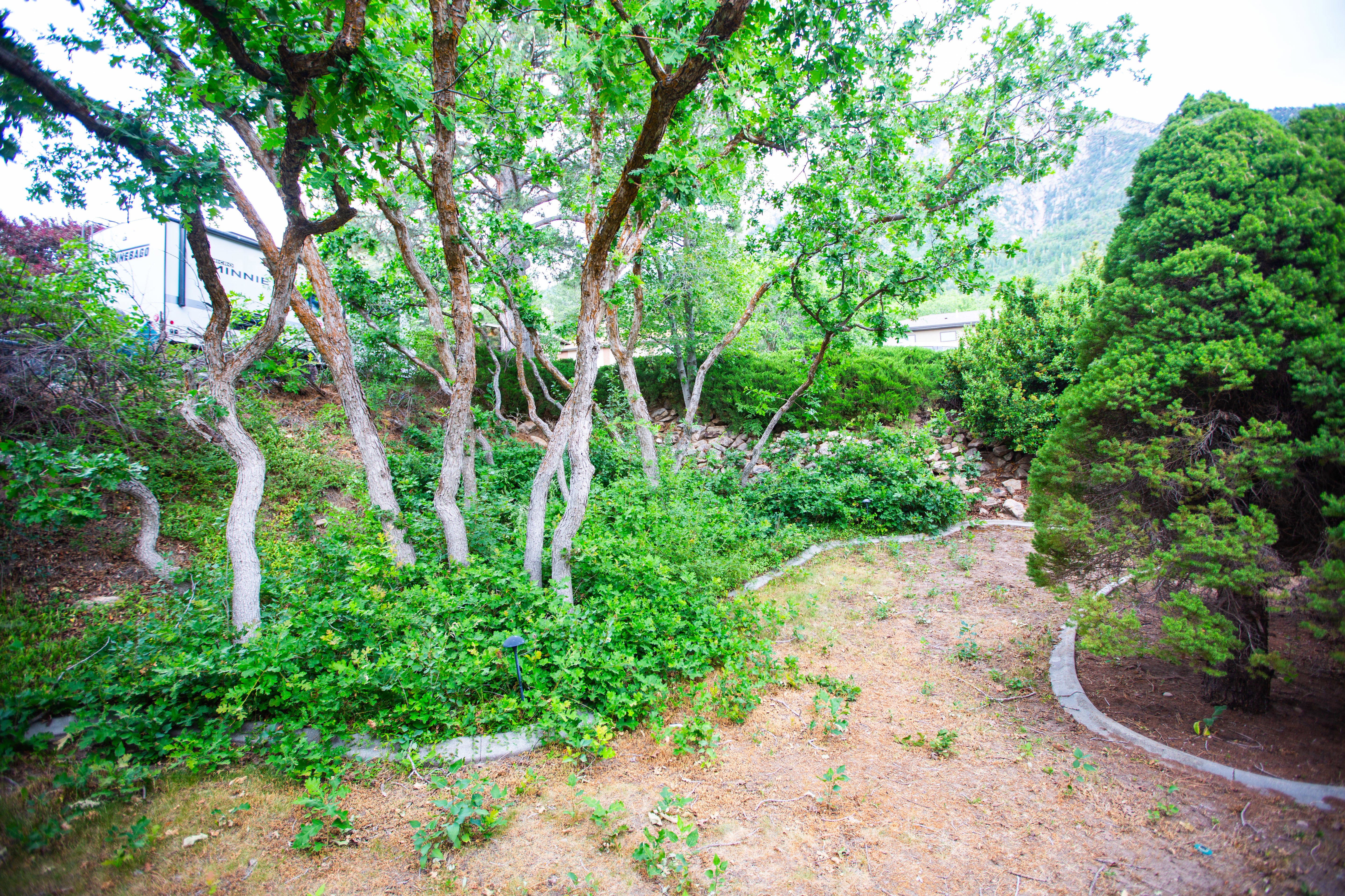 Mature trees and varied foliage create a natural landscape