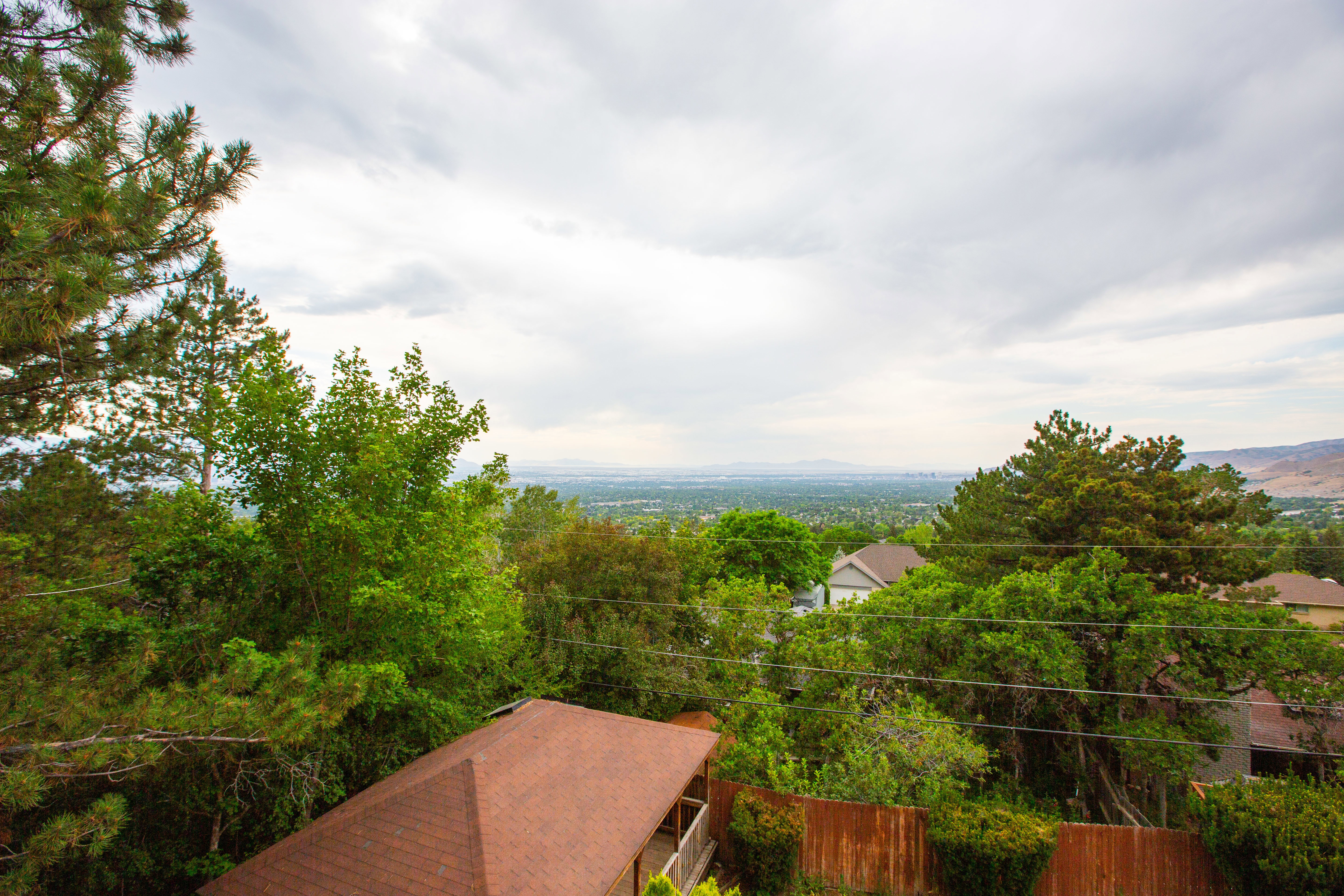 Expansive treed landscape with distant city and mountain range