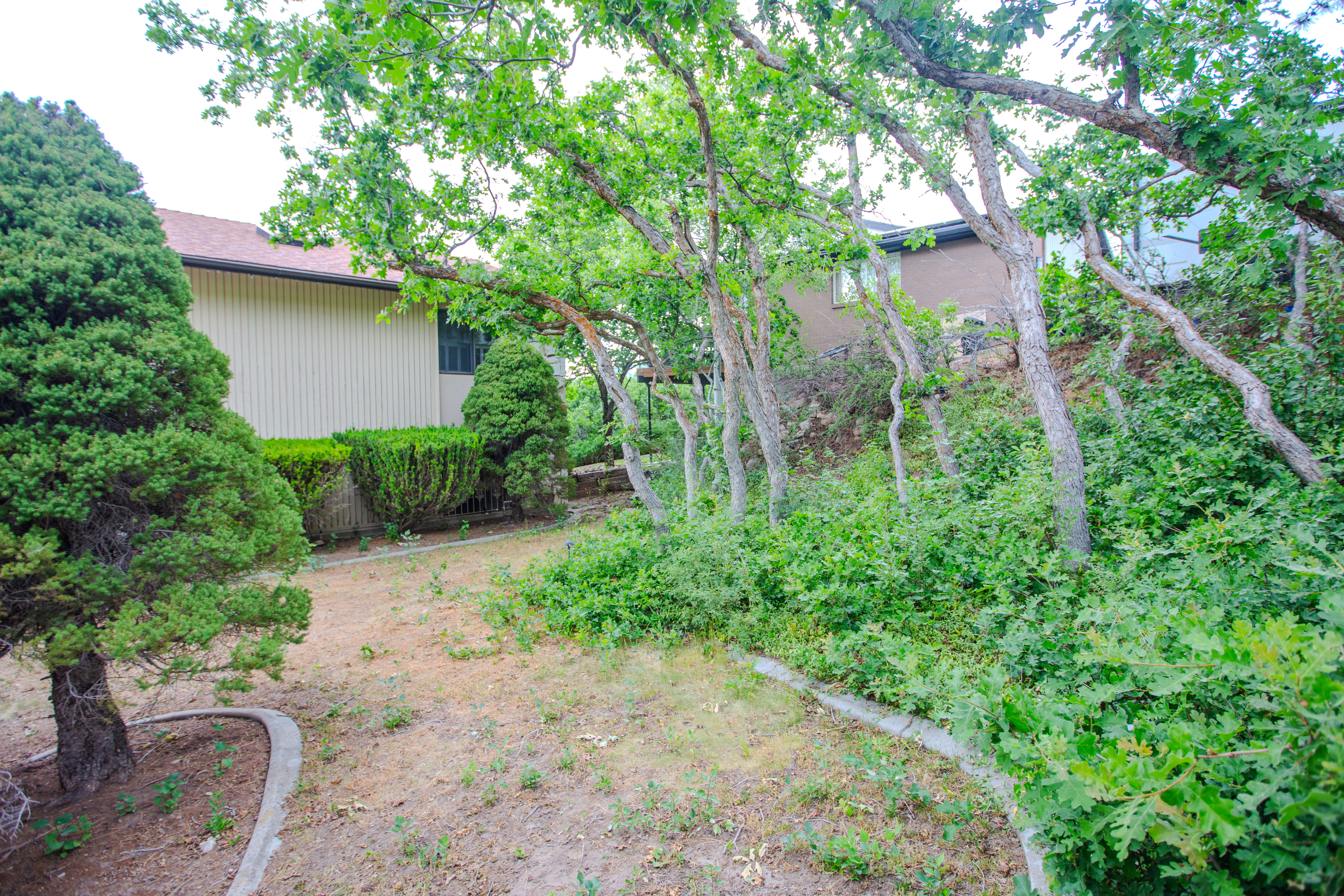 Tiered landscaping featuring mature trees and established shrubbery
