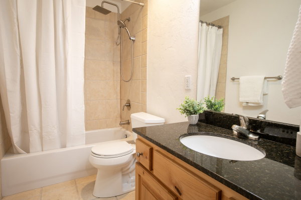 Bathroom featuring a black granite-style countertop with an undermount sink, natural wood-finish cabinetry, a tub-shower combination with ceramic tile surround, and a rain shower head with a handheld attachment