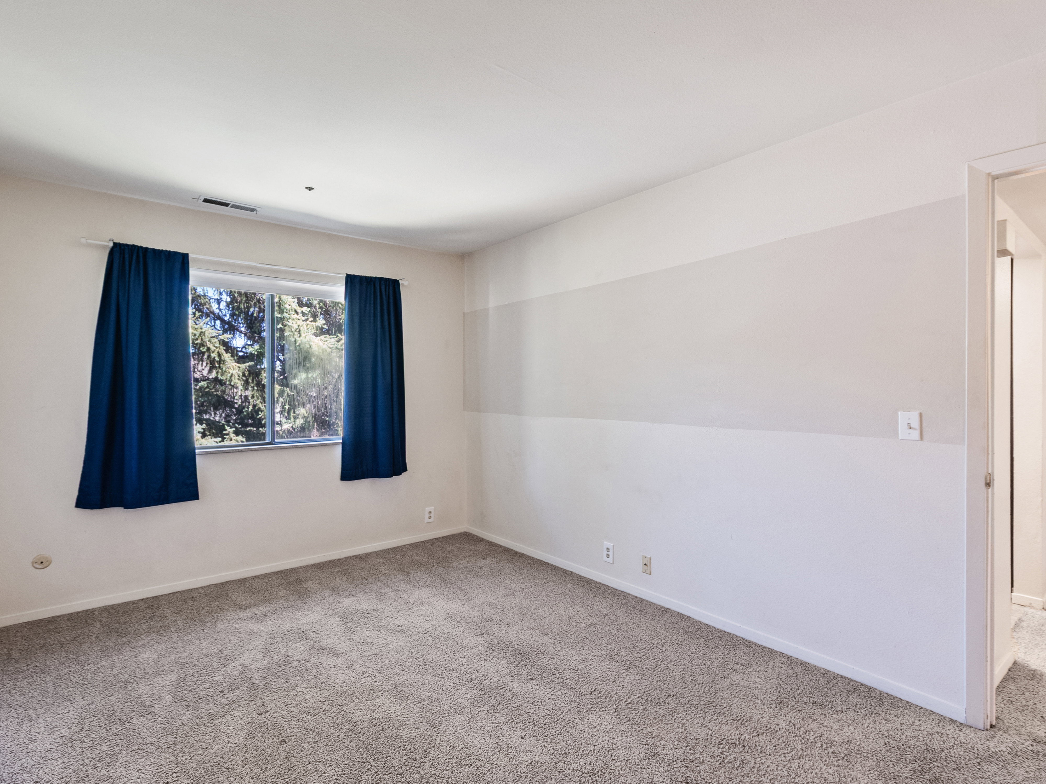 Carpeted room featuring a large window with exterior tree scenery, white walls with a painted accent stripe, and a recessed ceiling vent